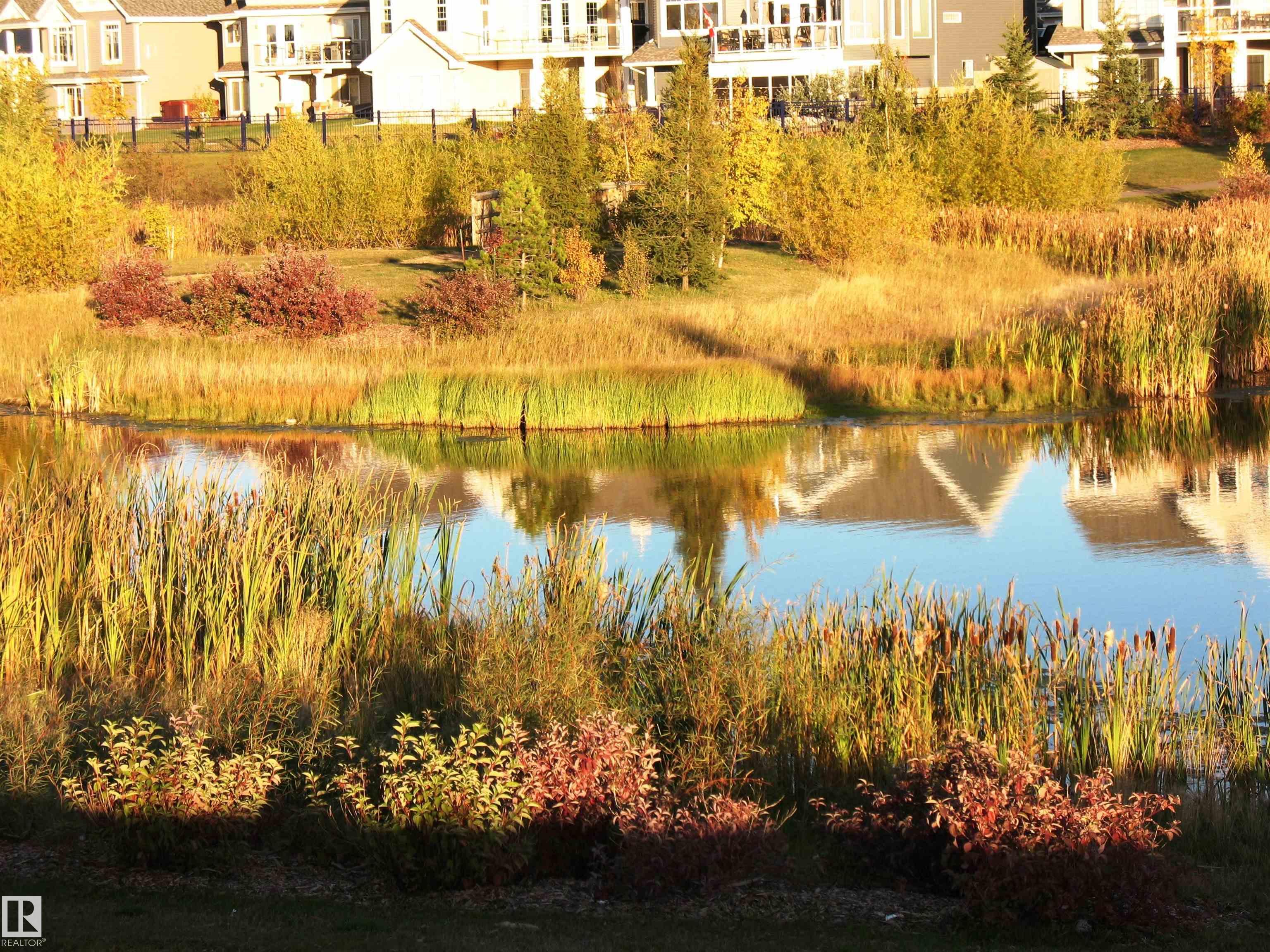 Photo 61 at 2223 76 Street SW, Summerside, Edmonton