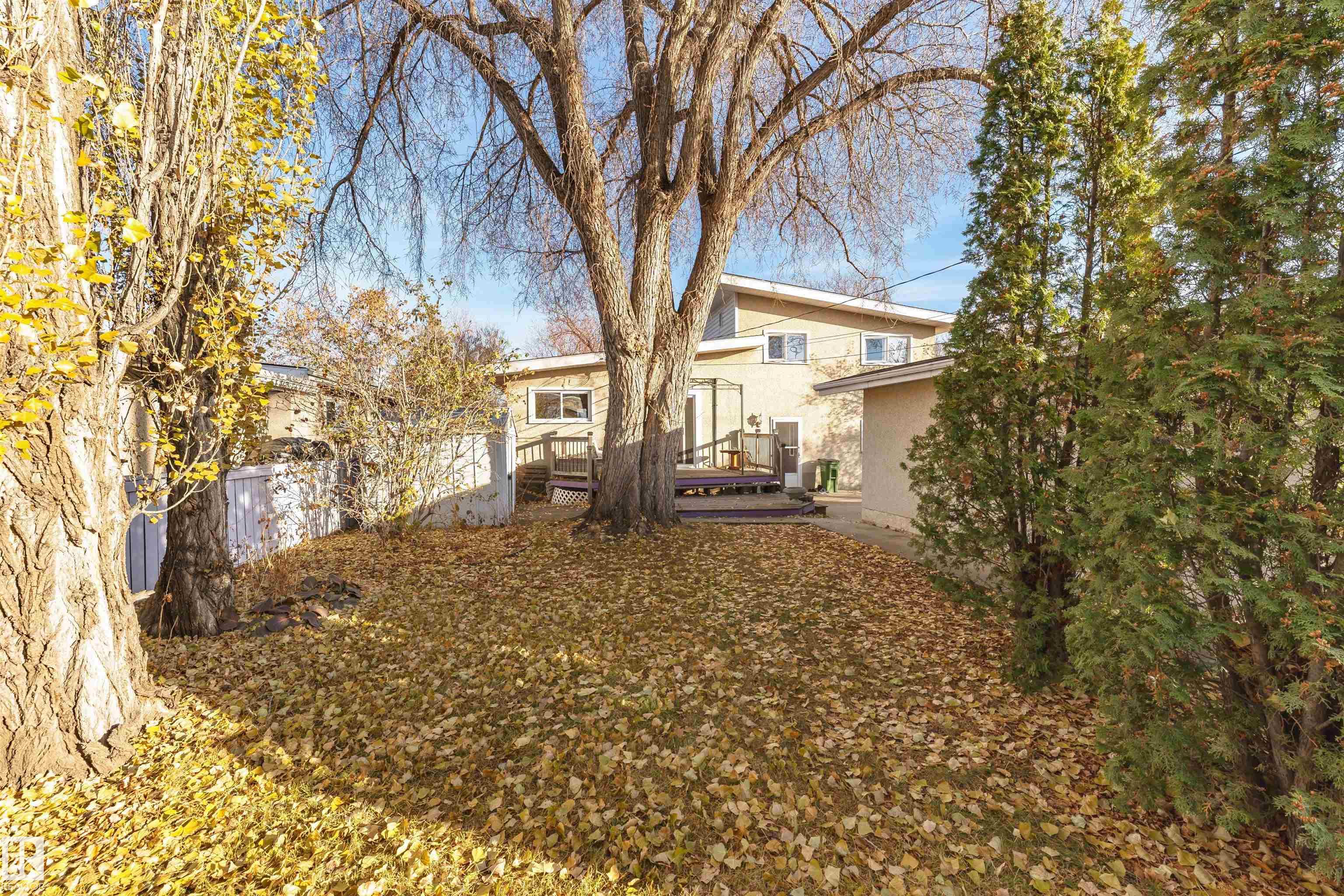 Photo 43 at 8204 163 Street NW, Elmwood, Edmonton