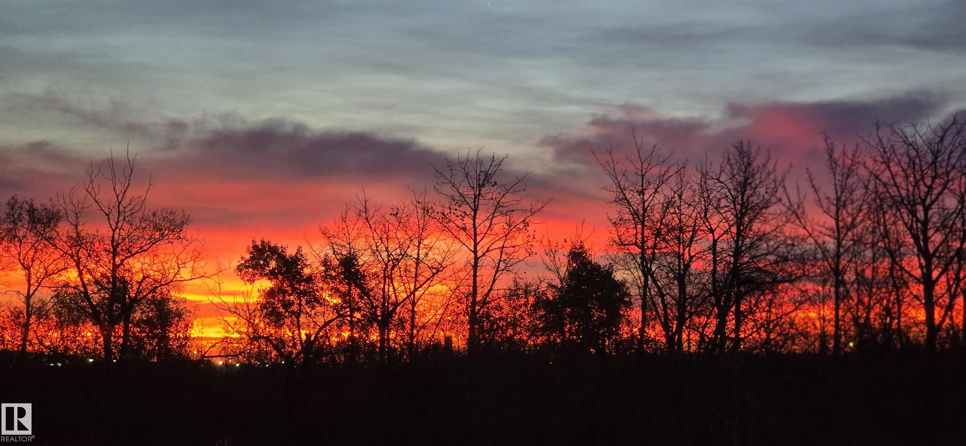 Photo 45 at 20431 128 Avenue NW, Trumpeter Area, Edmonton