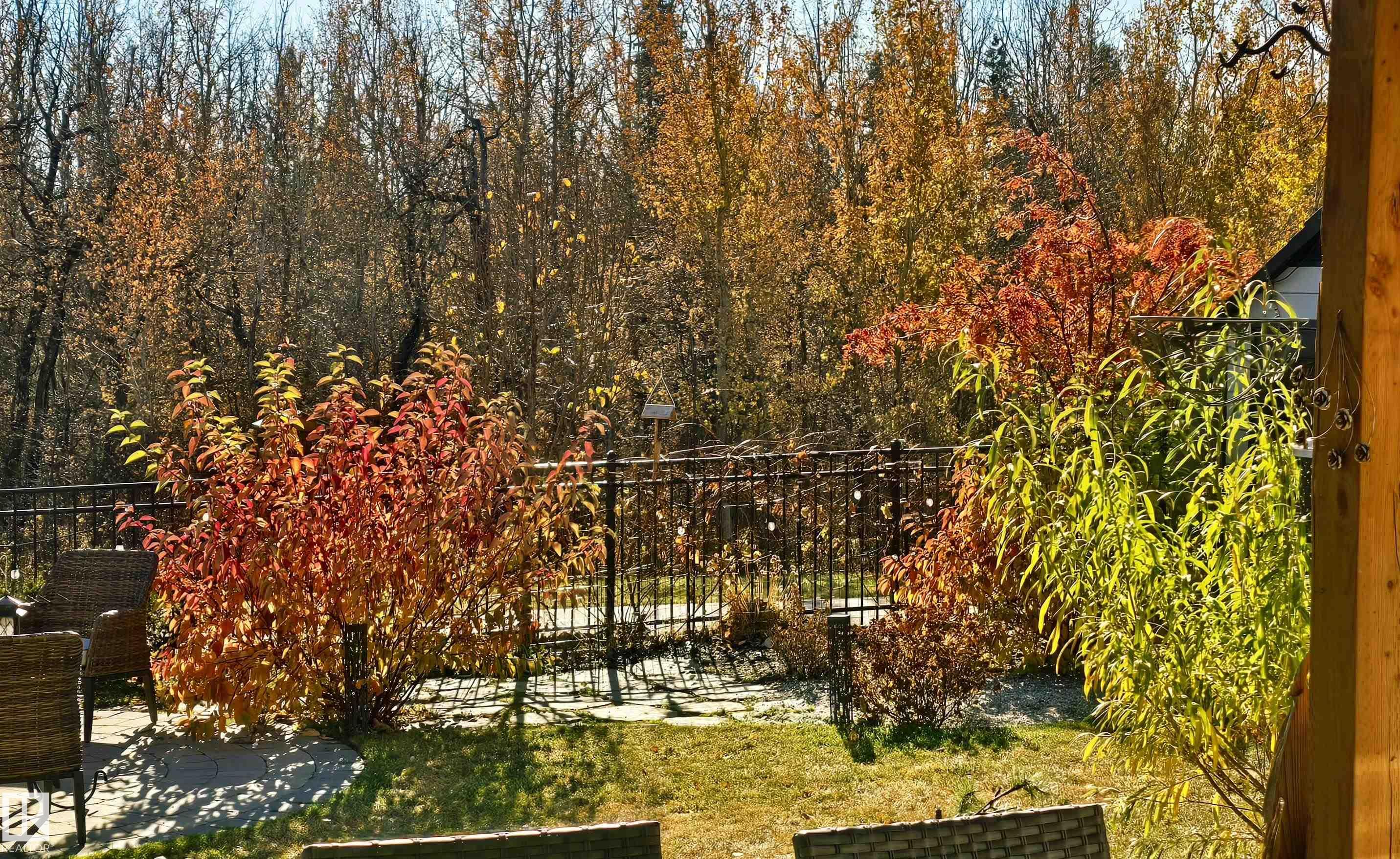 Photo 47 at 20431 128 Avenue NW, Trumpeter Area, Edmonton