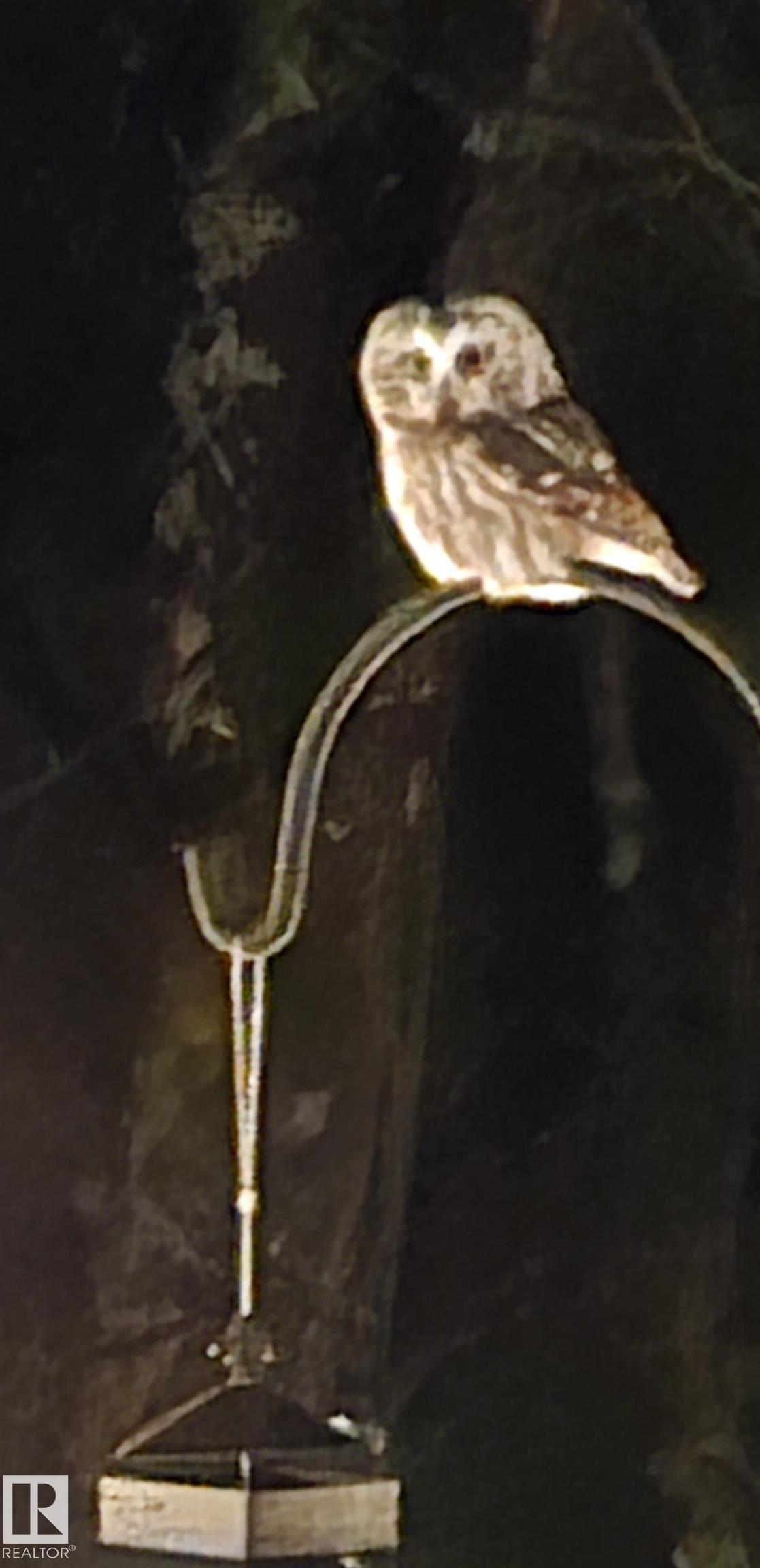 Photo 51 at 20431 128 Avenue NW, Trumpeter Area, Edmonton