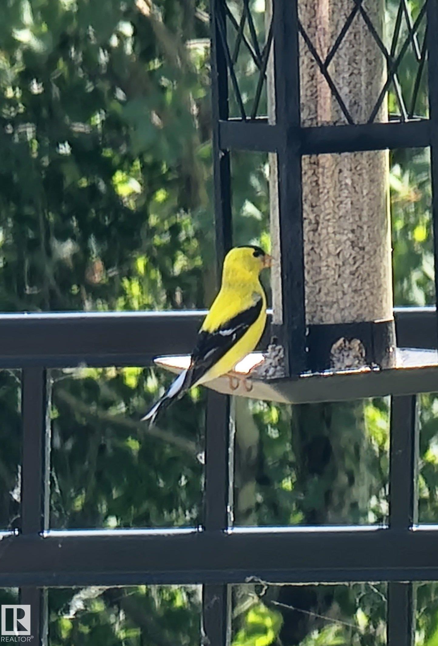 Photo 54 at 20431 128 Avenue NW, Trumpeter Area, Edmonton