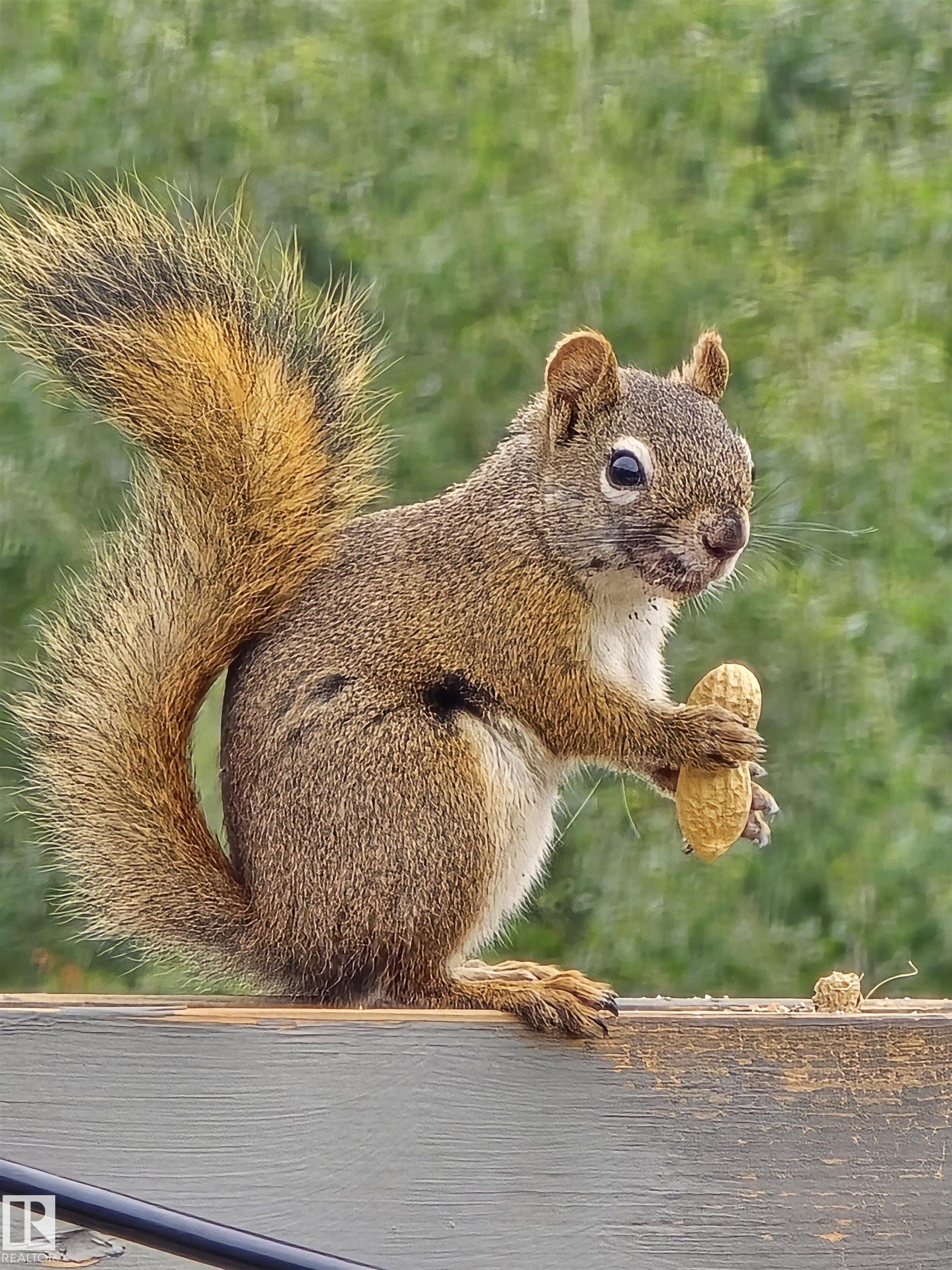 Photo 57 at 20431 128 Avenue NW, Trumpeter Area, Edmonton