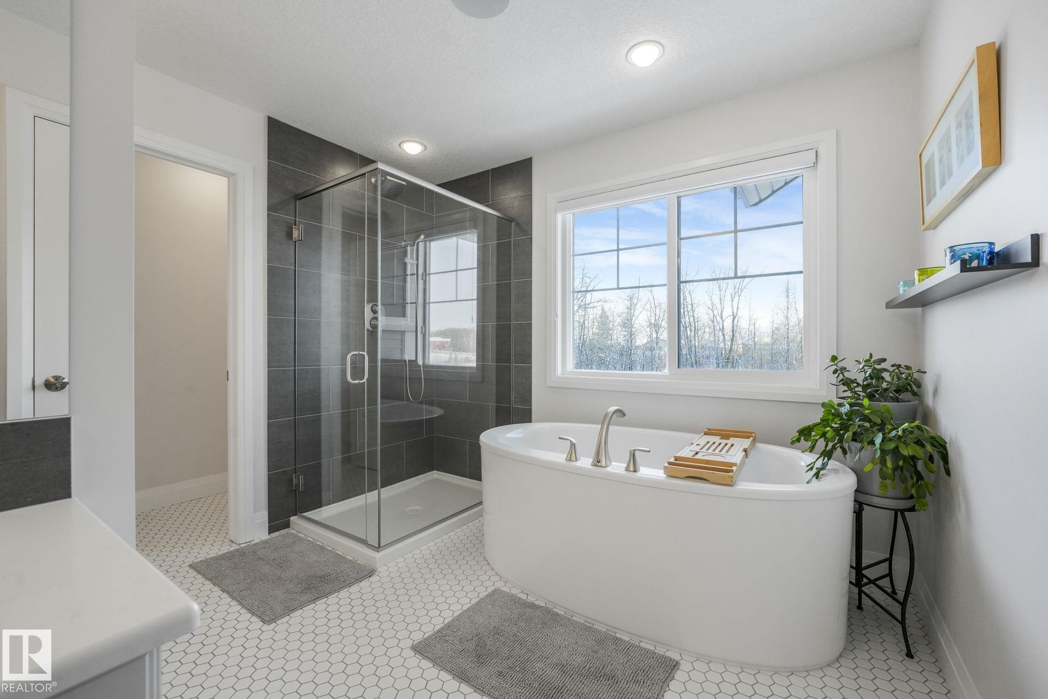 Picture for 2732 204 ST NW