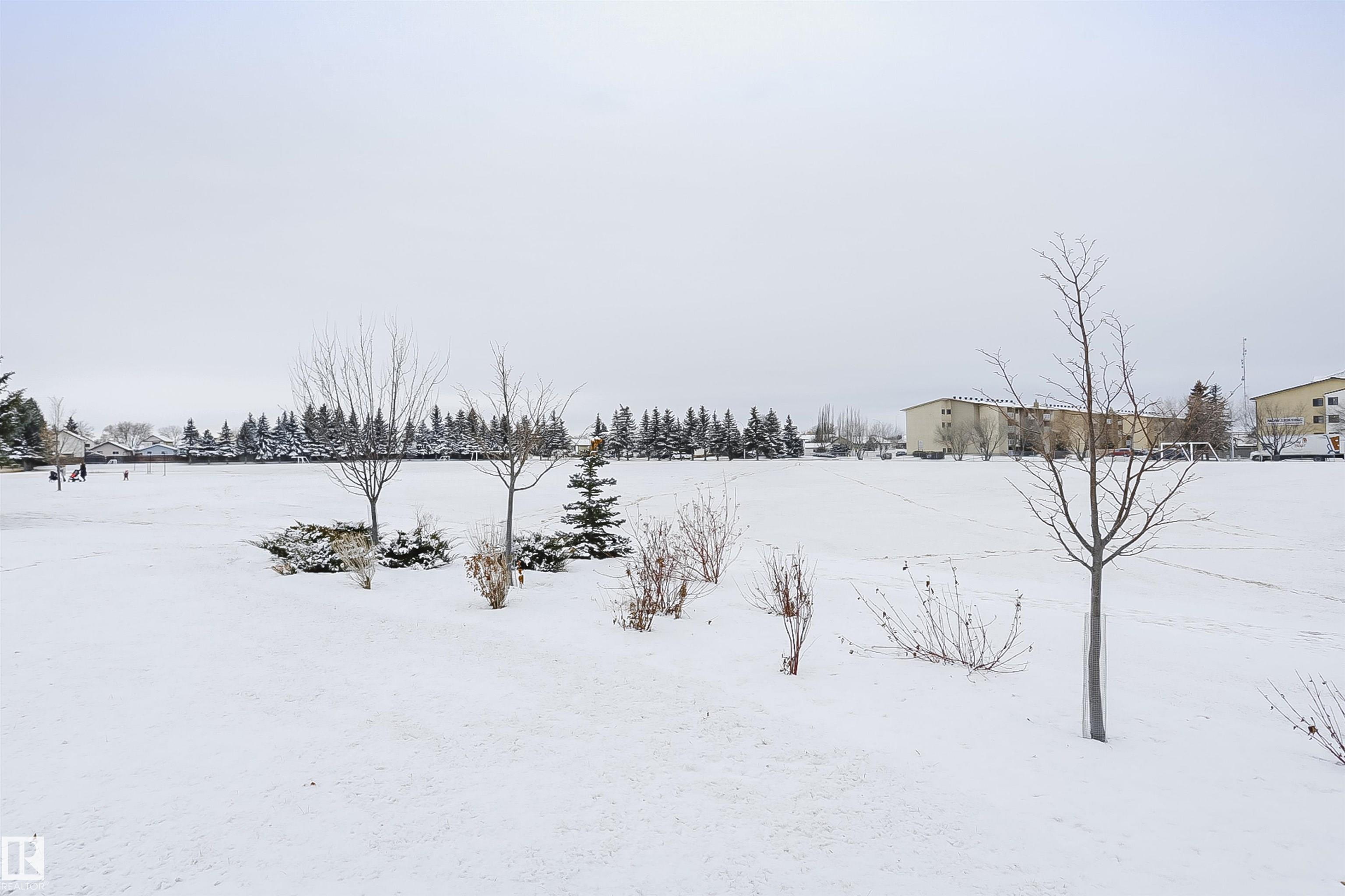 Photo 49 at 10105 105 Street, Morinville