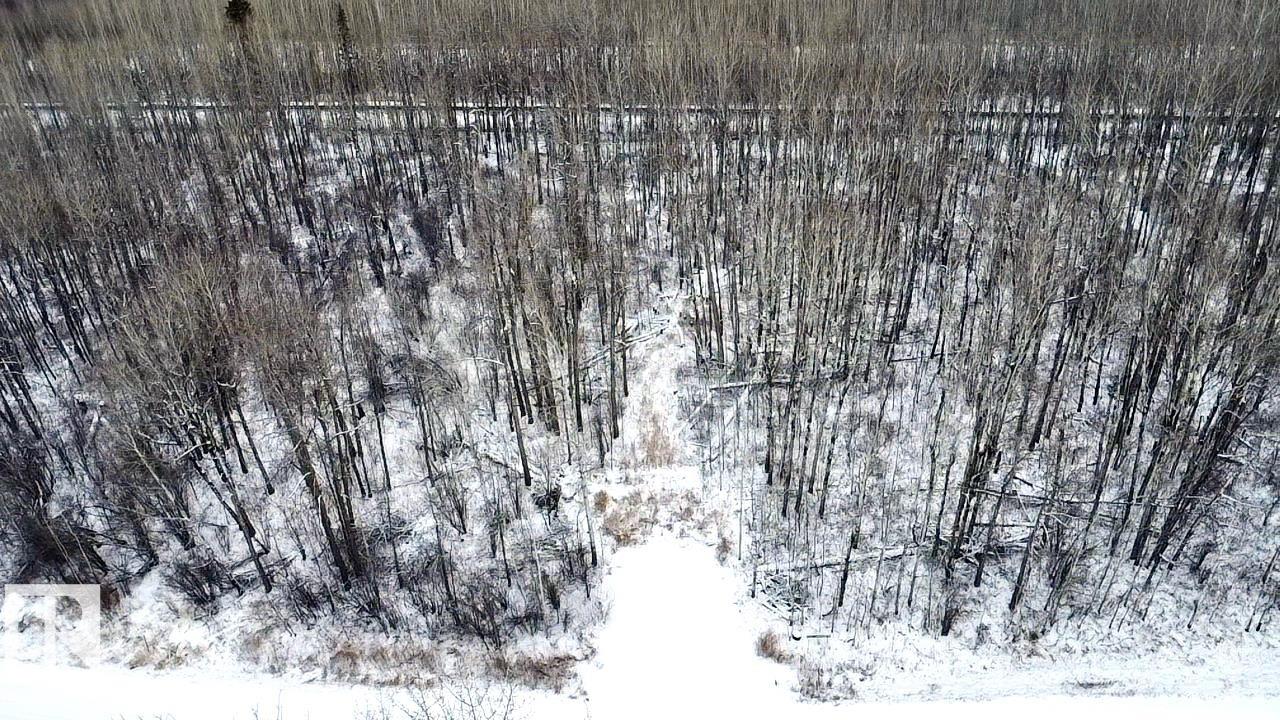 4312 Lakeshore Road, None, Rural Parkland County