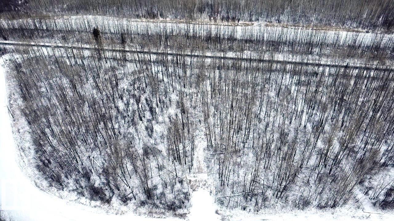 Photo 6 at 4312 Lakeshore Road, None, Rural Parkland County