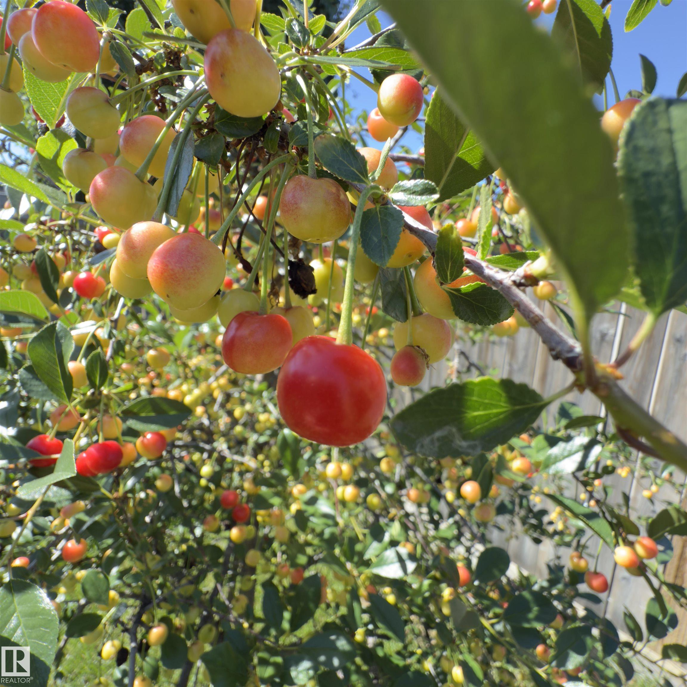 Photo 59 at 540 59 Street SW, Charlesworth, Edmonton