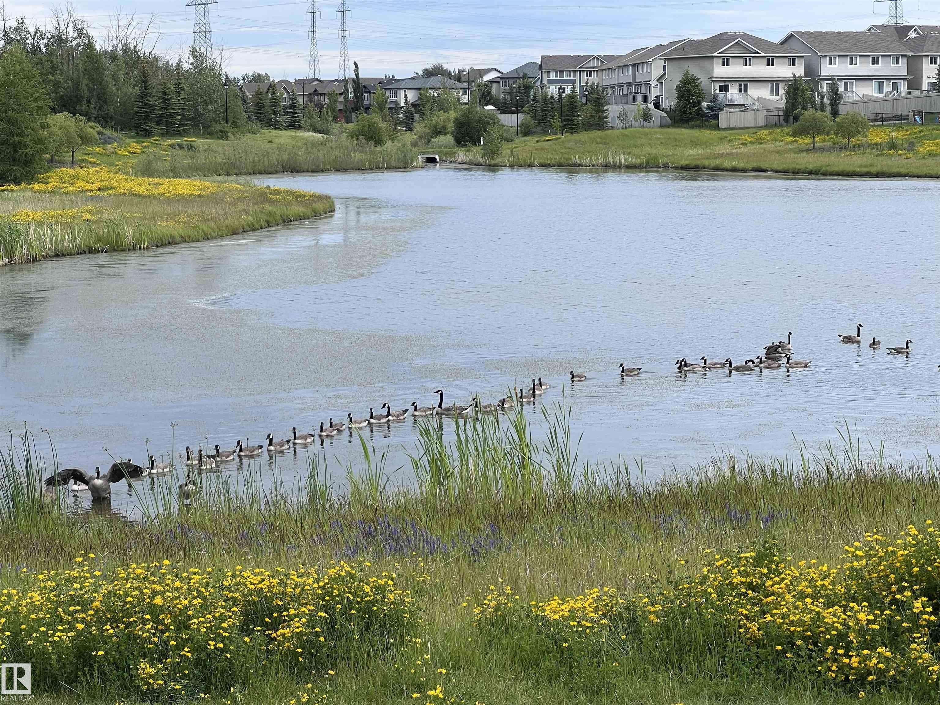 Photo 73 at 540 59 Street SW, Charlesworth, Edmonton