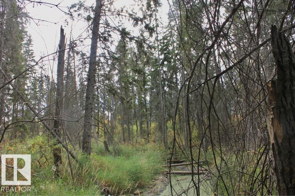 Photo 9 at 49454 Range Road 241, None, Rural Leduc County