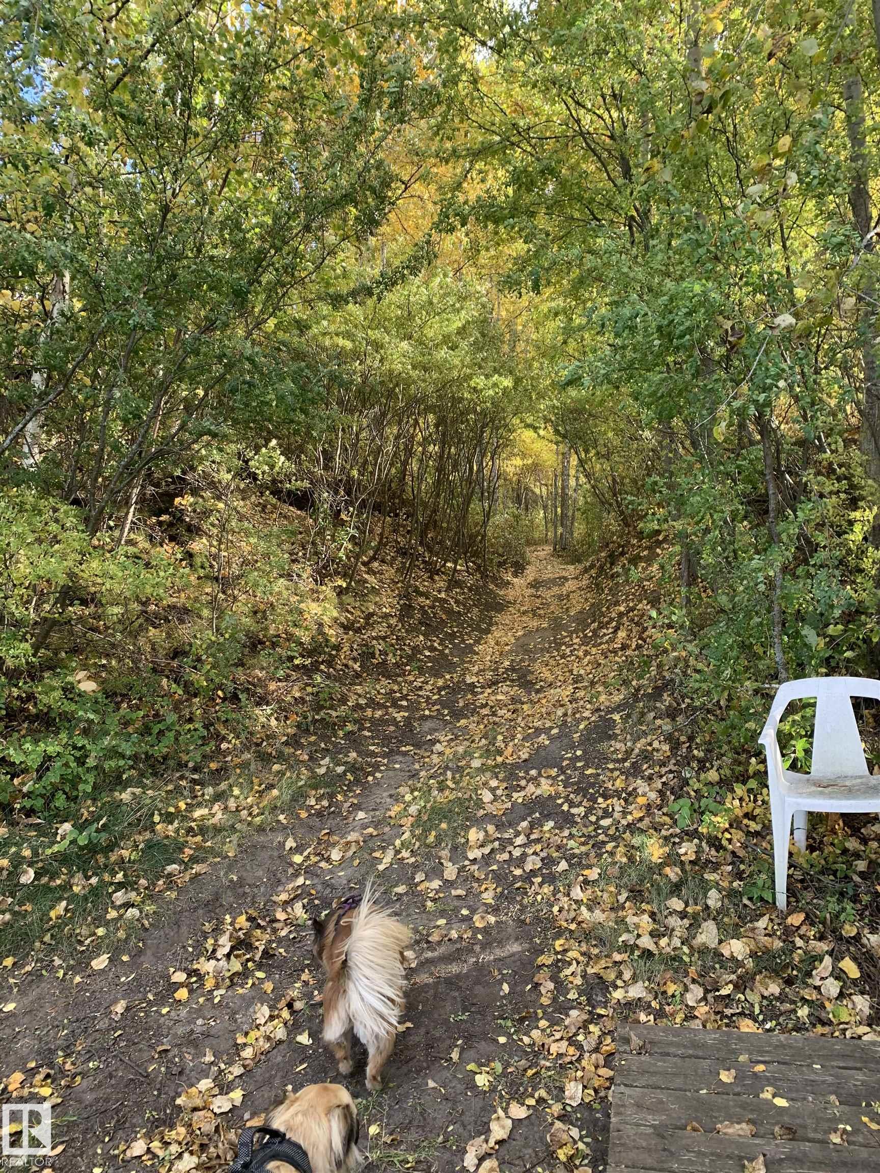 Photo 11 at 26 Pine Crescent, Silver Sands Estates, Rural Parkland County