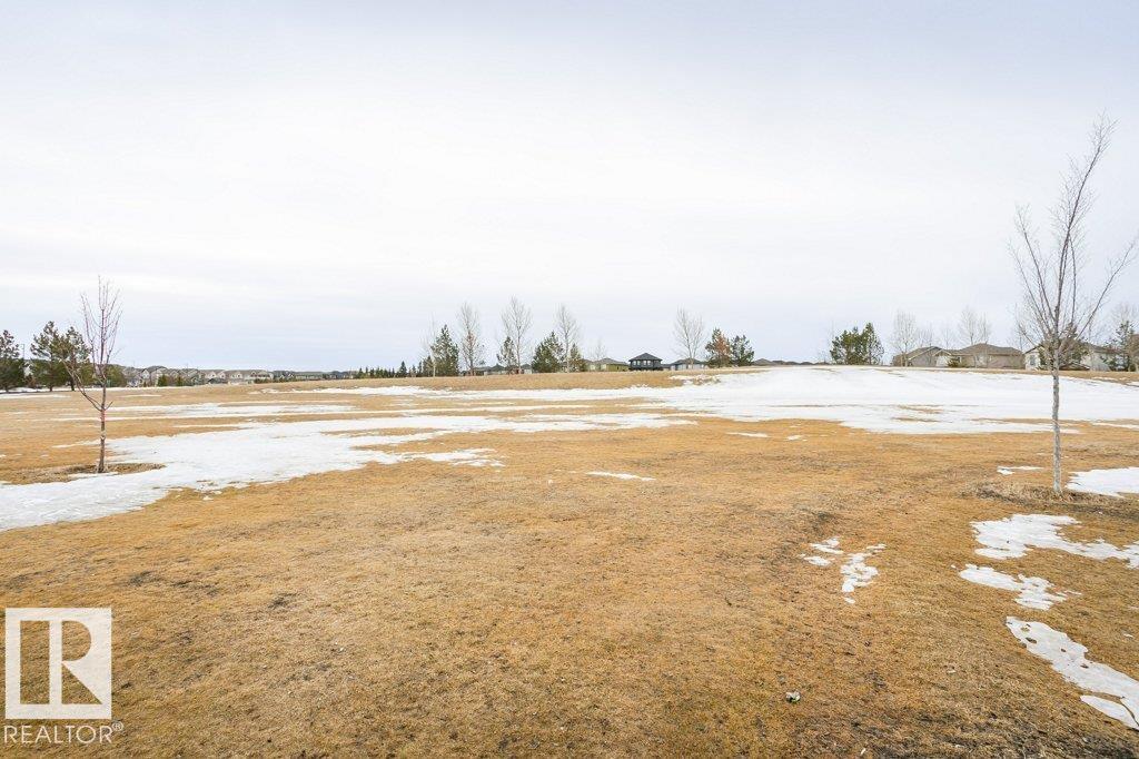 Photo 71 at 4027 Chappelle Green green SW, Chappelle Area, Edmonton