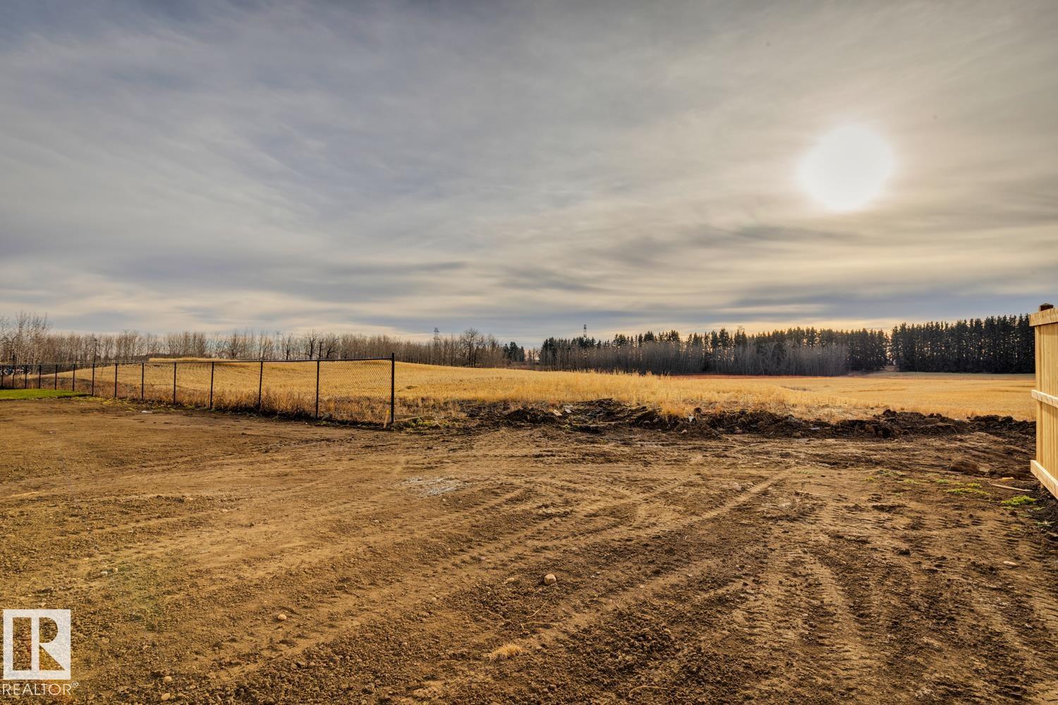 Photo 52 at 1519 11 Avenue NW, Aster, Edmonton