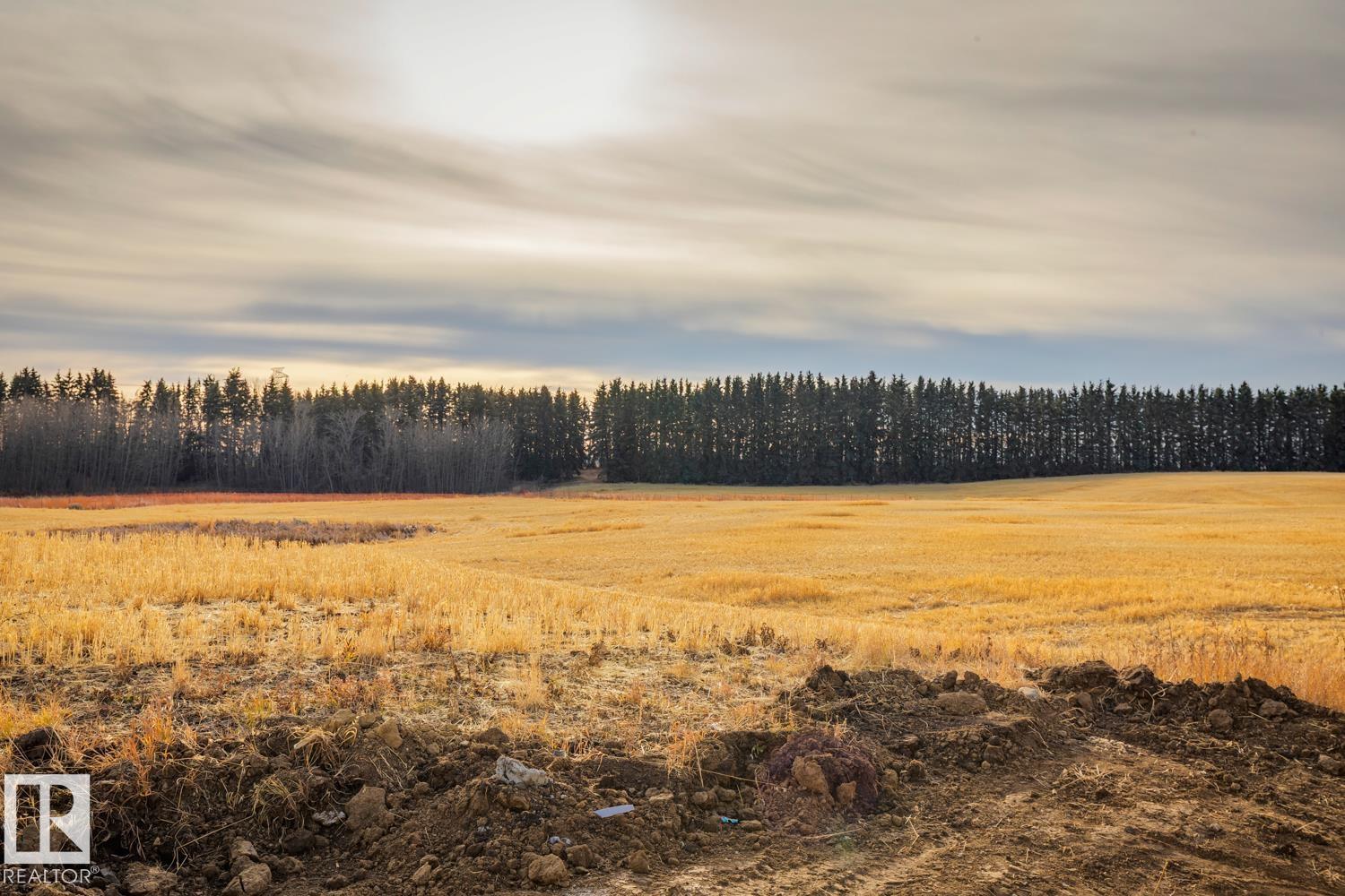 Photo 53 at 1519 11 Avenue NW, Aster, Edmonton