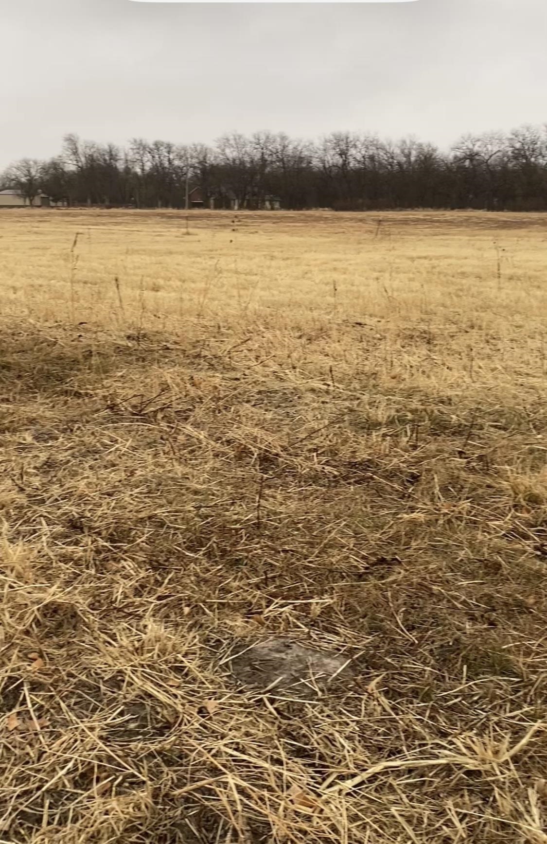 Photo of 00000 N Seneca St in Sedgwick, KS