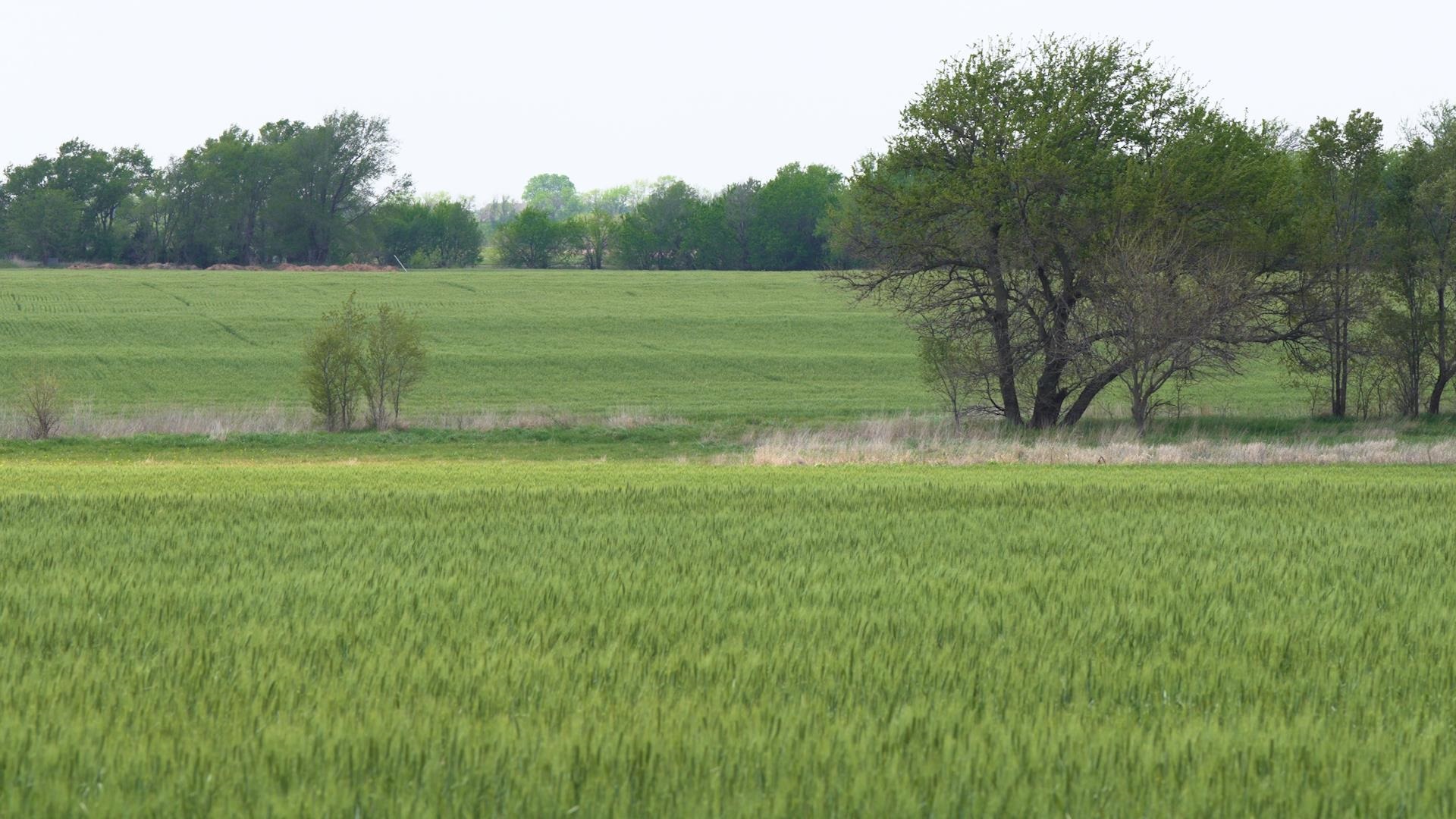 Photo of Lot 5 Block 3 Dry Creek Ests in Goddard, KS