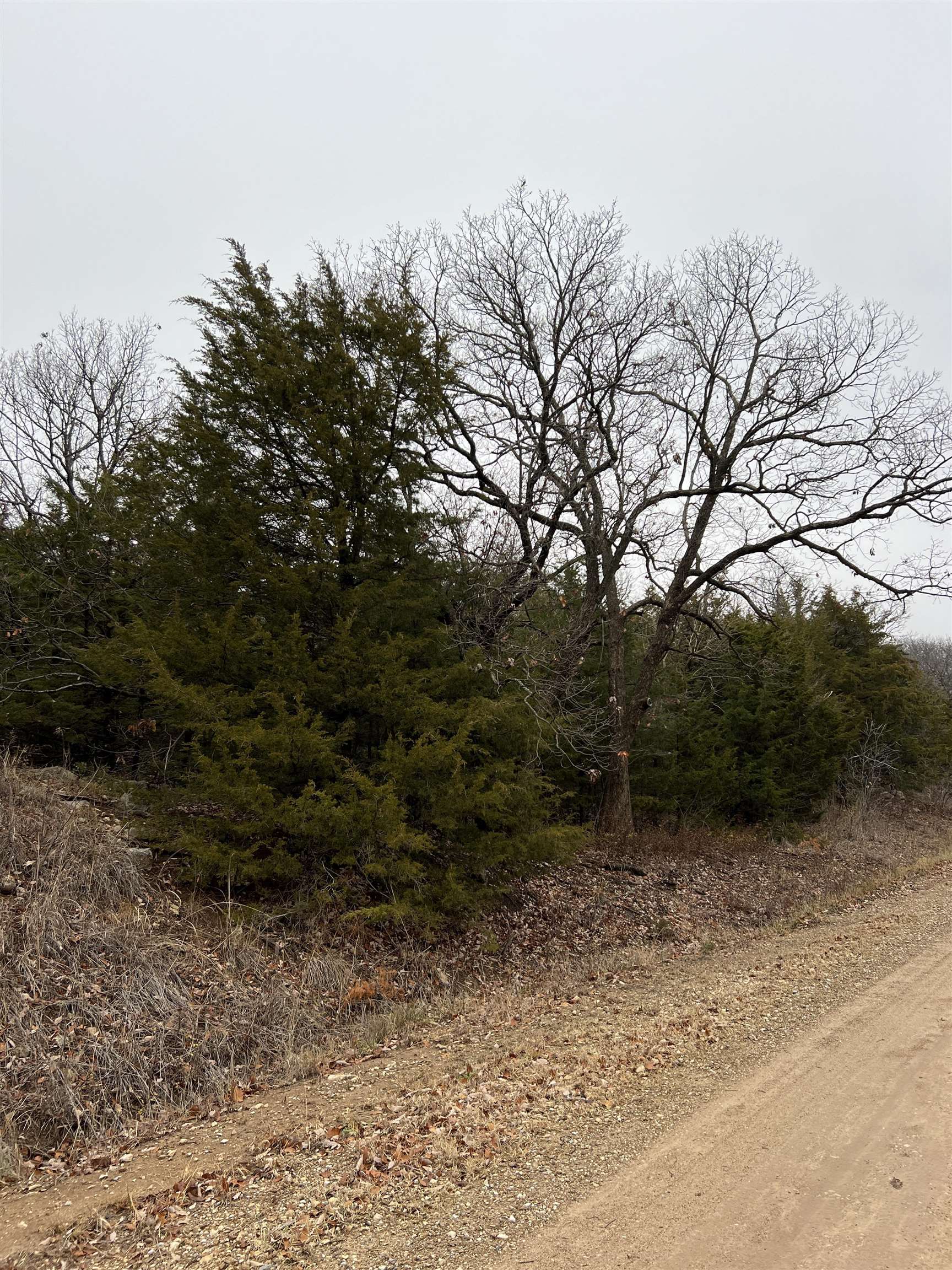 Photo of 0 Overhill Rd in Arkansas City, KS