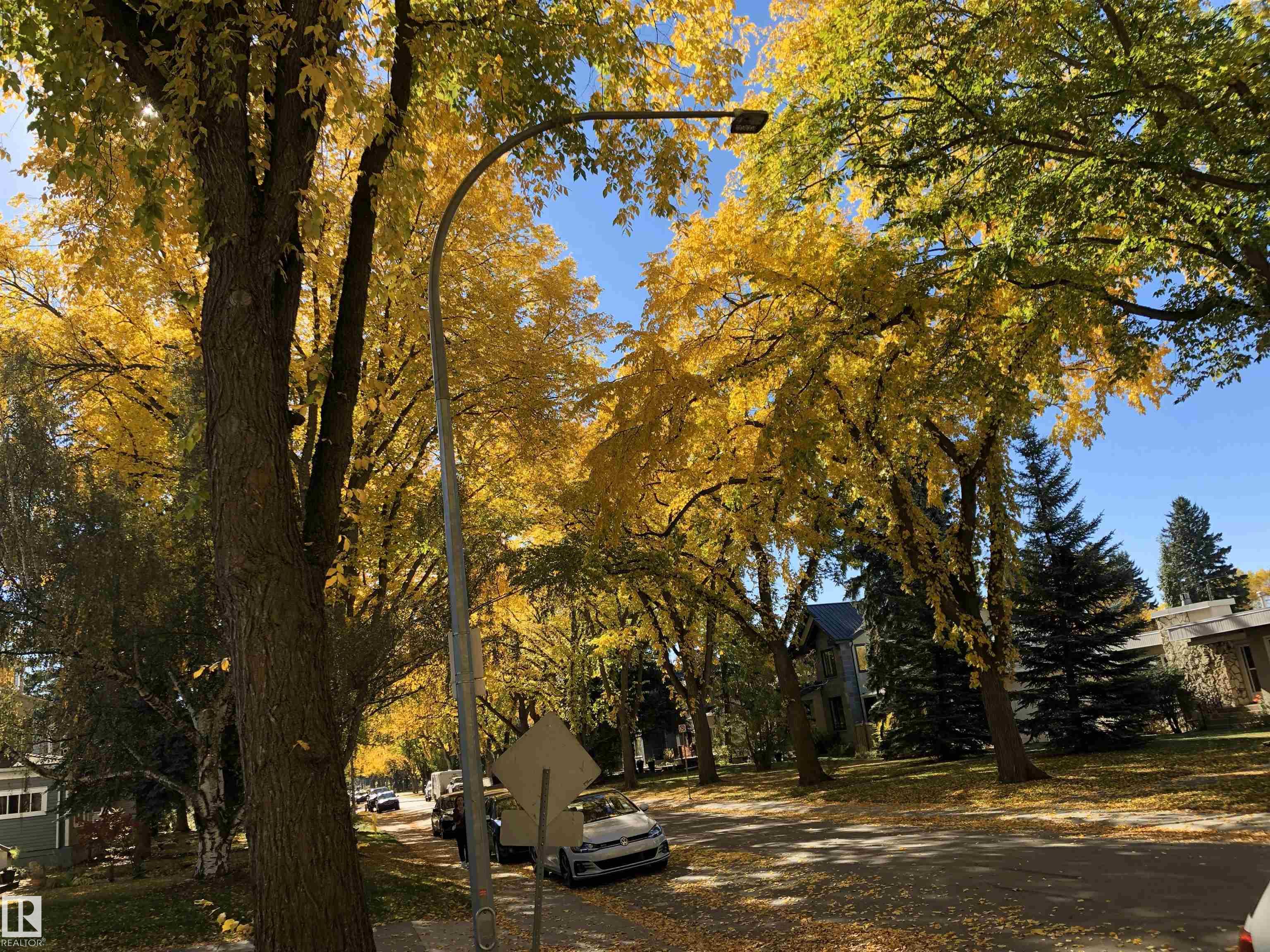 Photo 48 at 9135 117 Street NW, Windsor Park, Edmonton