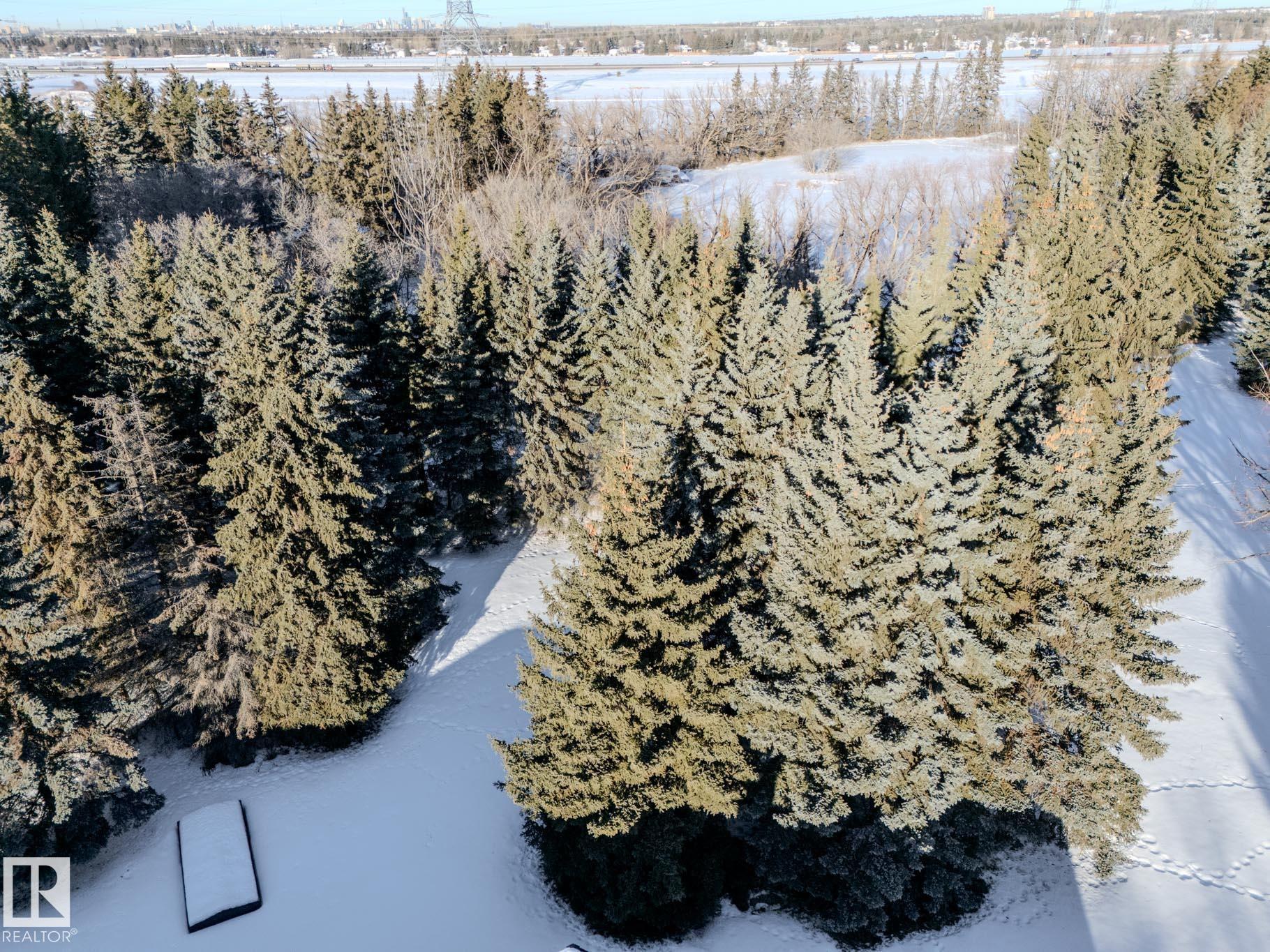 Photo 71 at 231 75 Street SW, Ellerslie, Edmonton