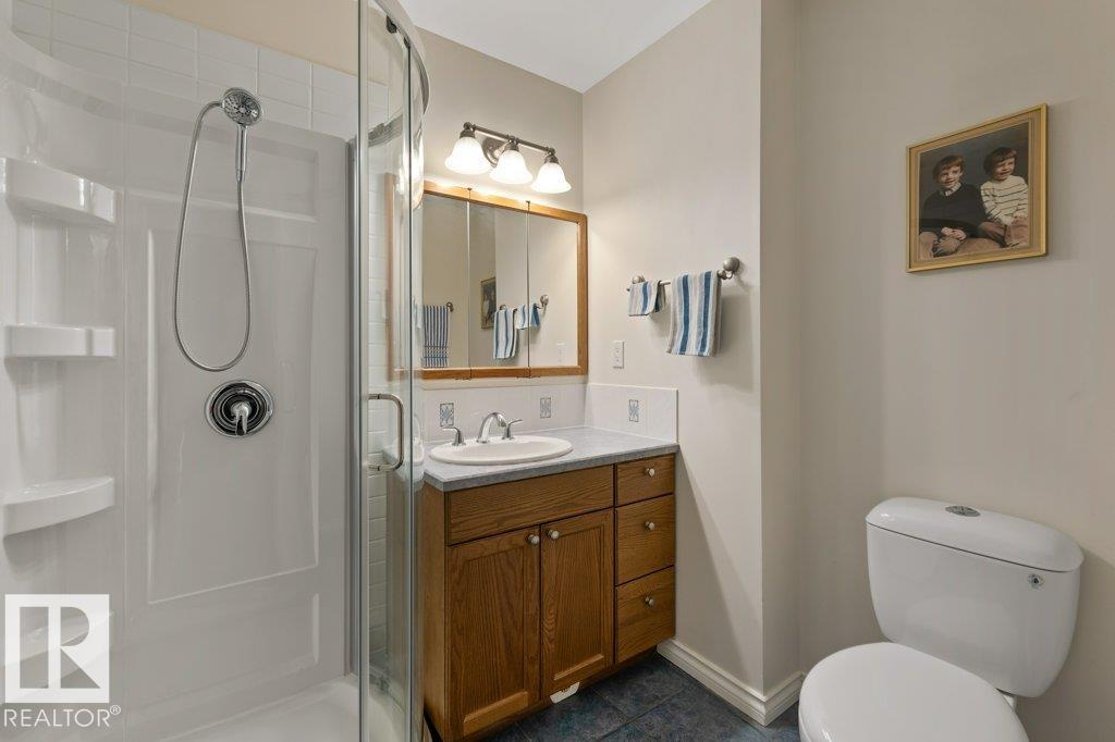 Photo 18 at 16132 100 Street NW, Lorelei, Edmonton