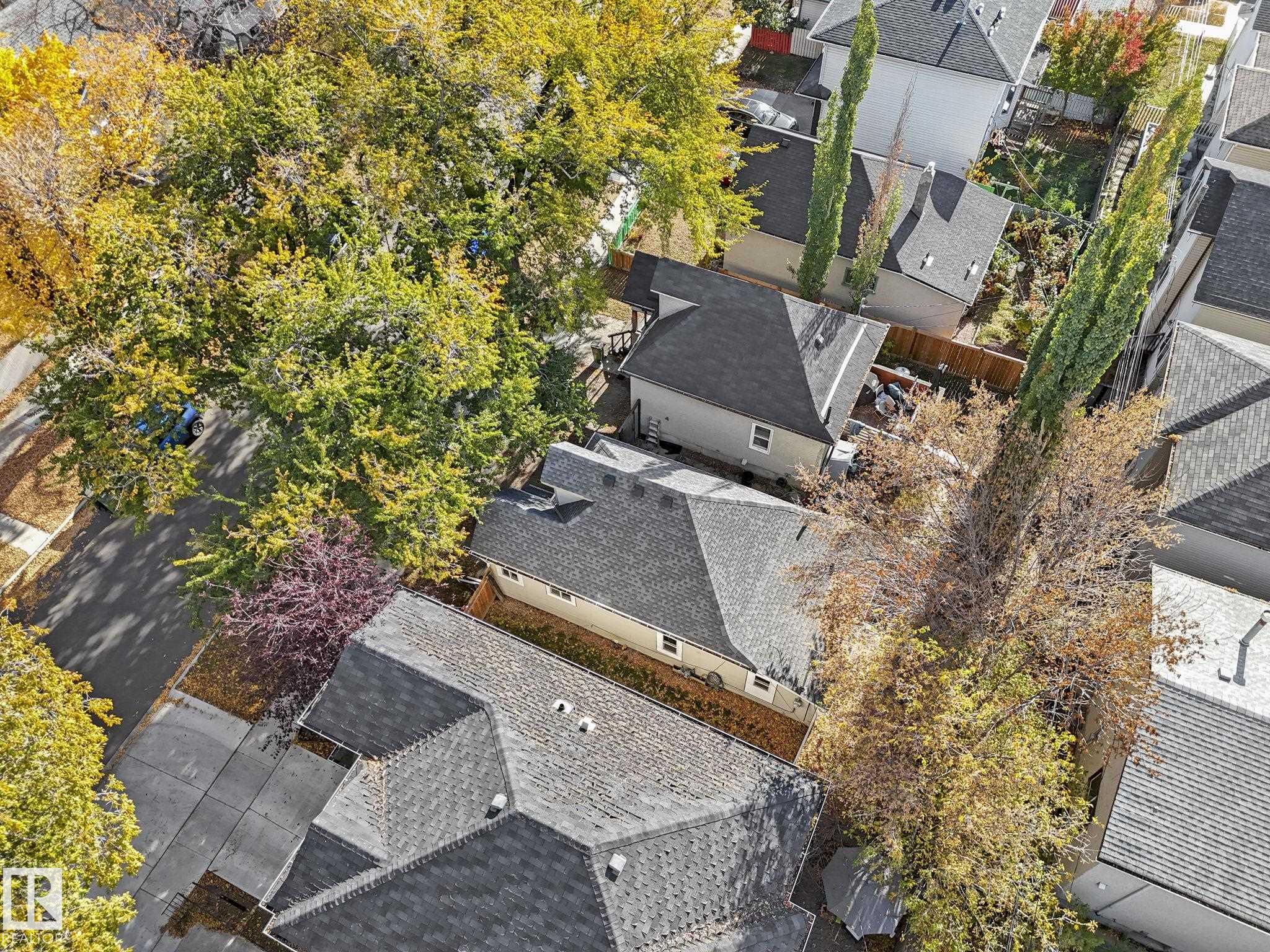 Photo 9 at 10920 92 Street NW, Mccauley, Edmonton