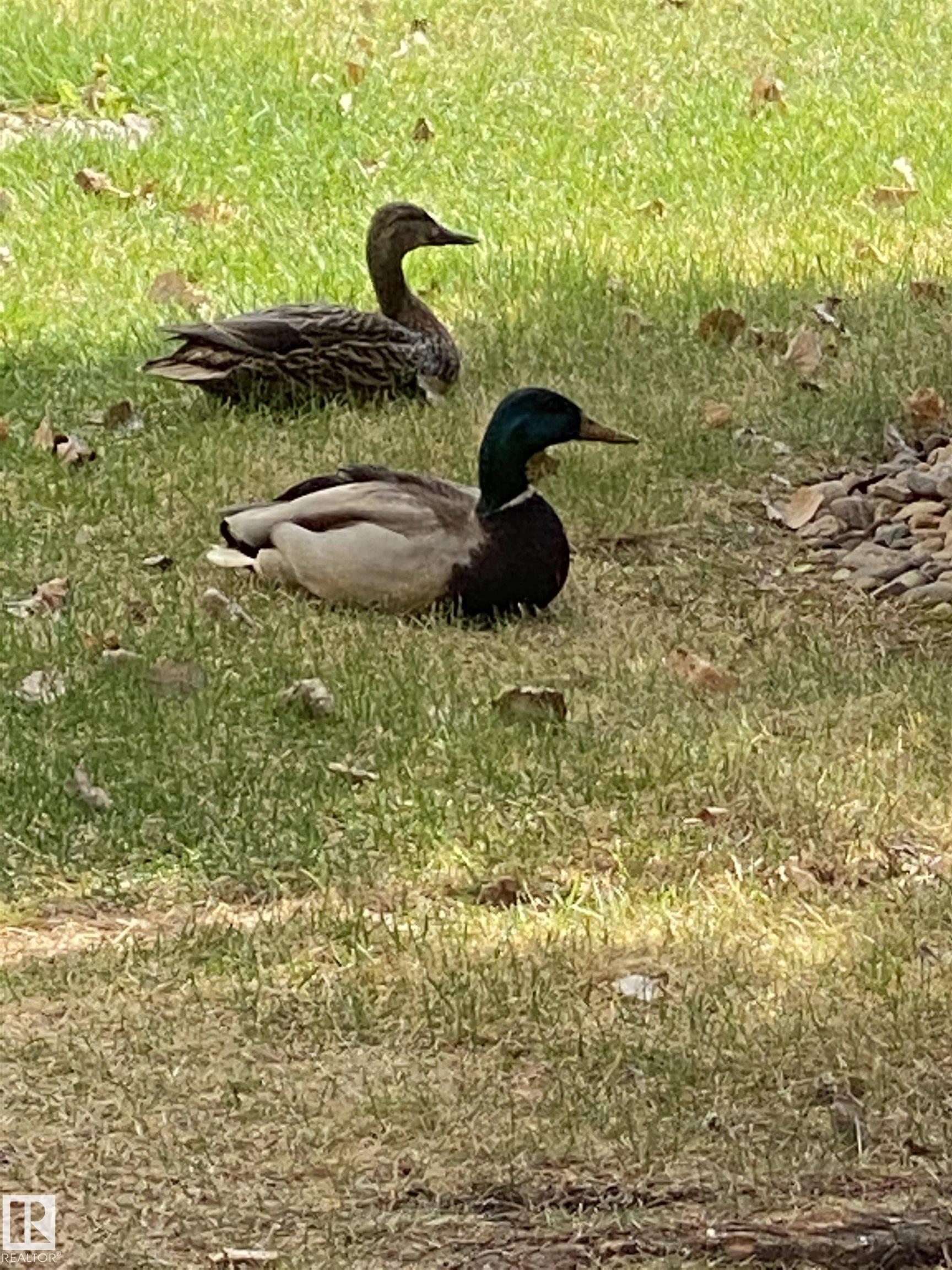 Photo 53 at 315 - 592 Hooke Road NW, Canon Ridge, Edmonton