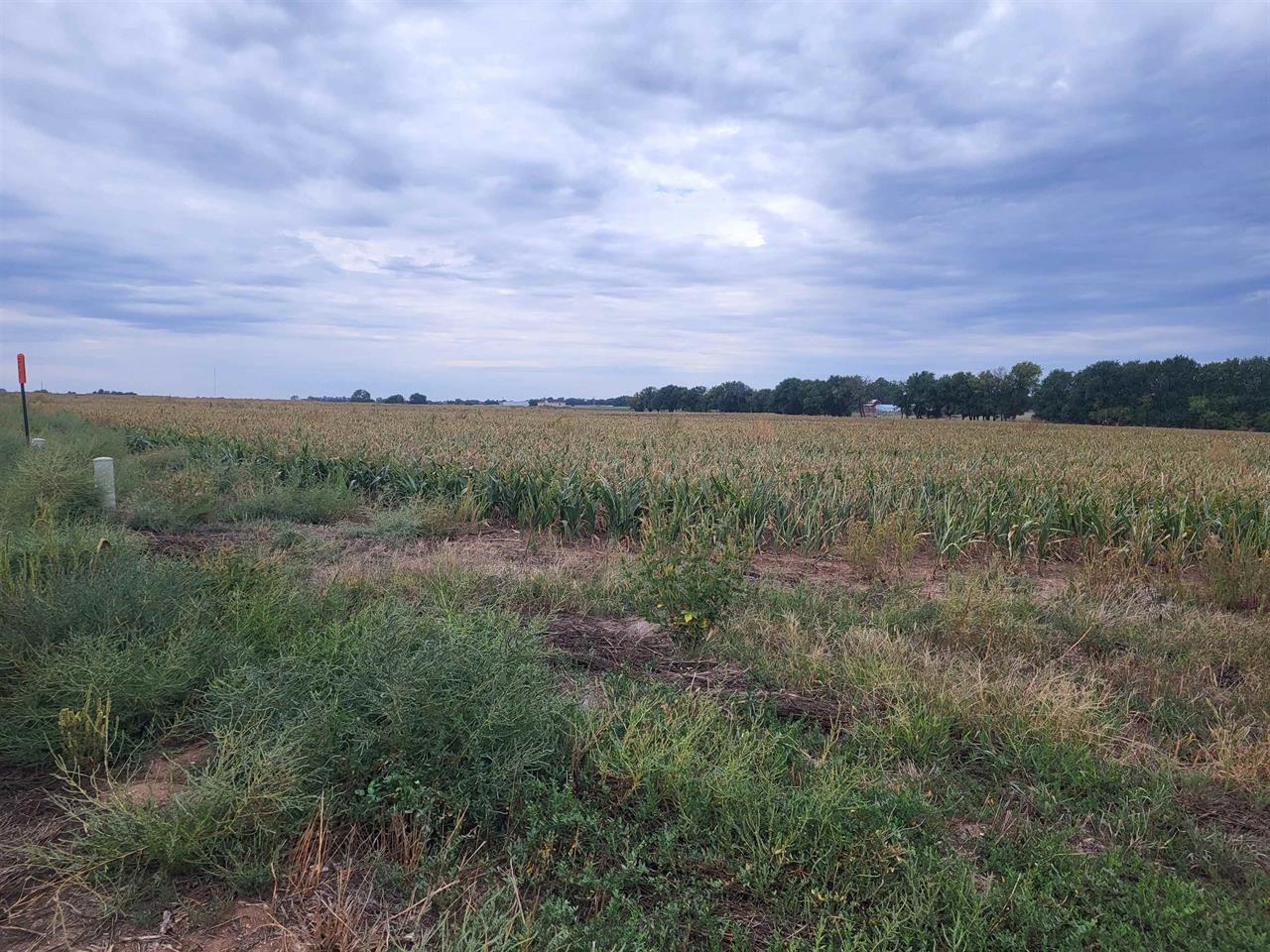 For Sale: 0000  Tbd Lot 2, Colwich KS