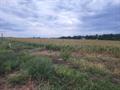 For Sale: 0000  Tbd Lot 3, Colwich KS