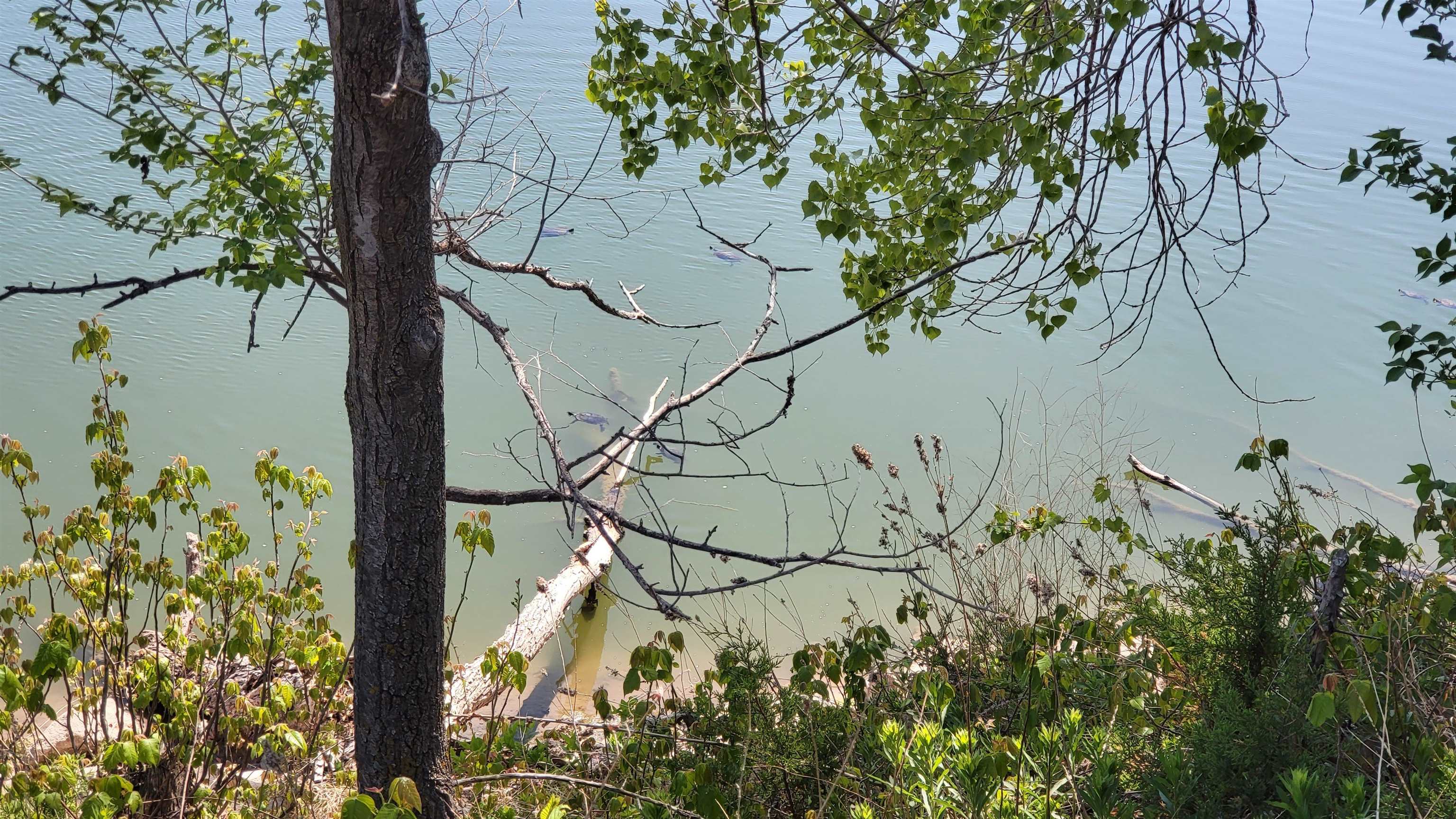Photo of Lot 12 Block 1 Doris in Wichita, KS