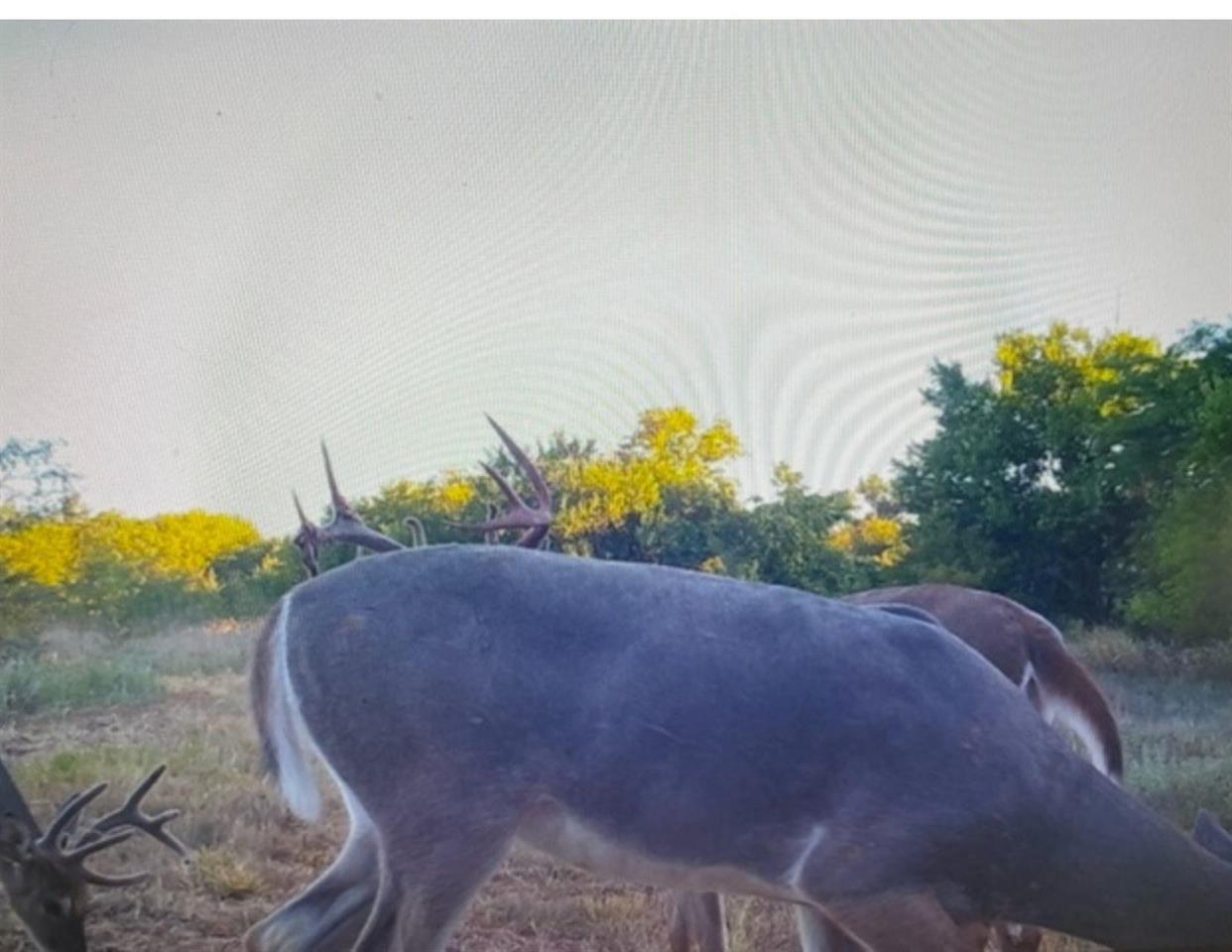 For Sale: 1595 S Ryan Rd, Caldwell KS
