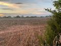 For Sale: 1595 S Ryan Rd, Caldwell KS