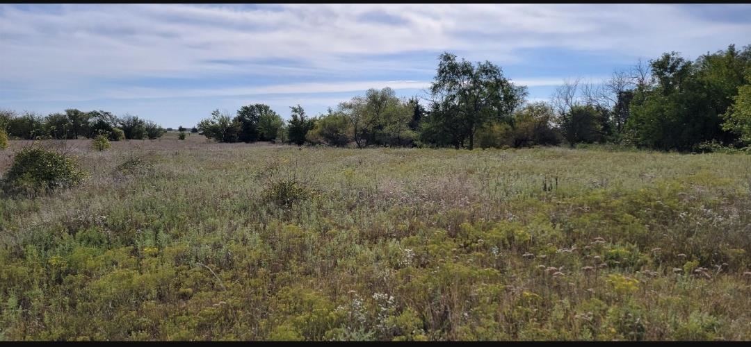 For Sale: W K-42 Highway, Viola KS