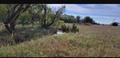 For Sale: W K-42 Highway, Viola KS