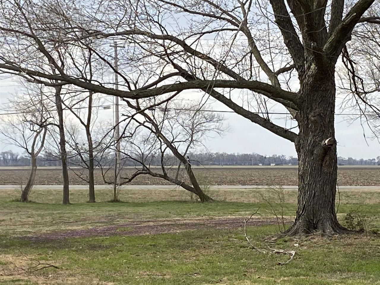 For Sale: 8346 S Millsapp, Derby KS