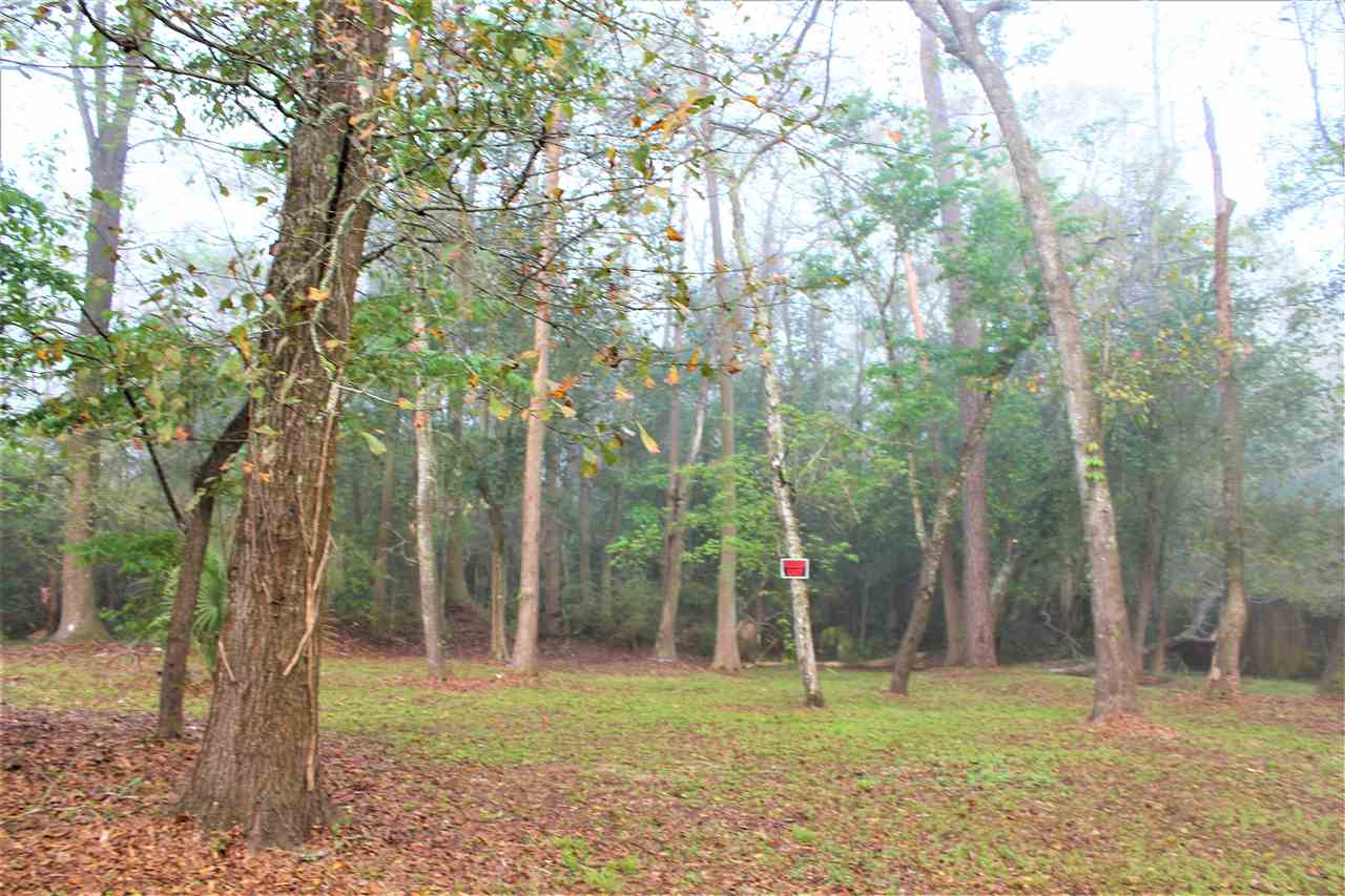 Lot 22 Cactus Street TALLAHASSEE FL 32304 - Wakulla ...