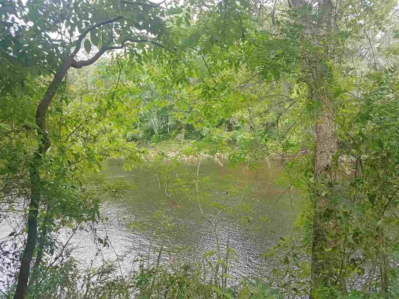 Withlacoochee River Property For Sale