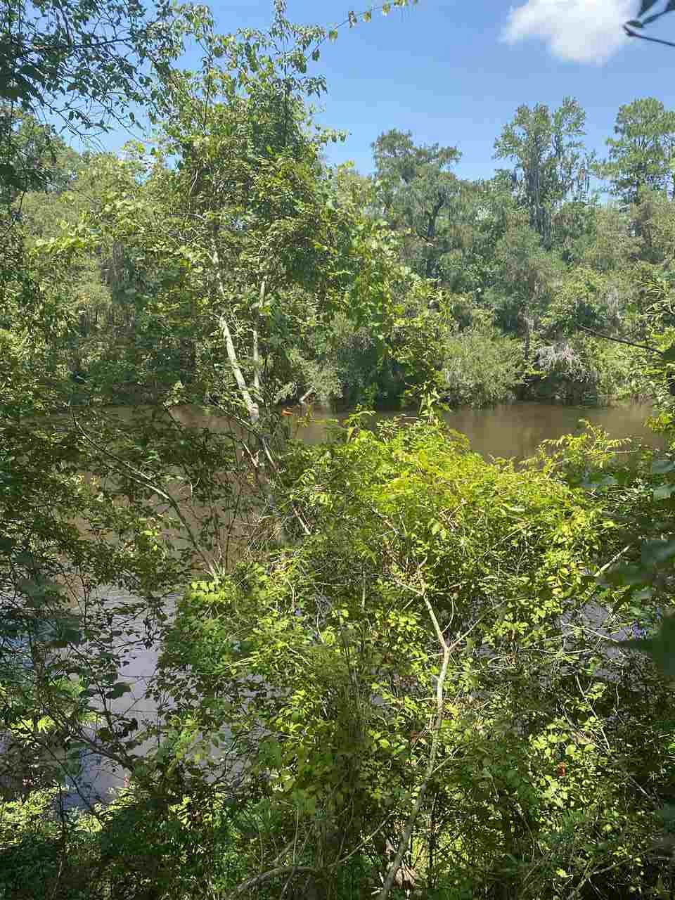 Withlacoochee River Property For Sale