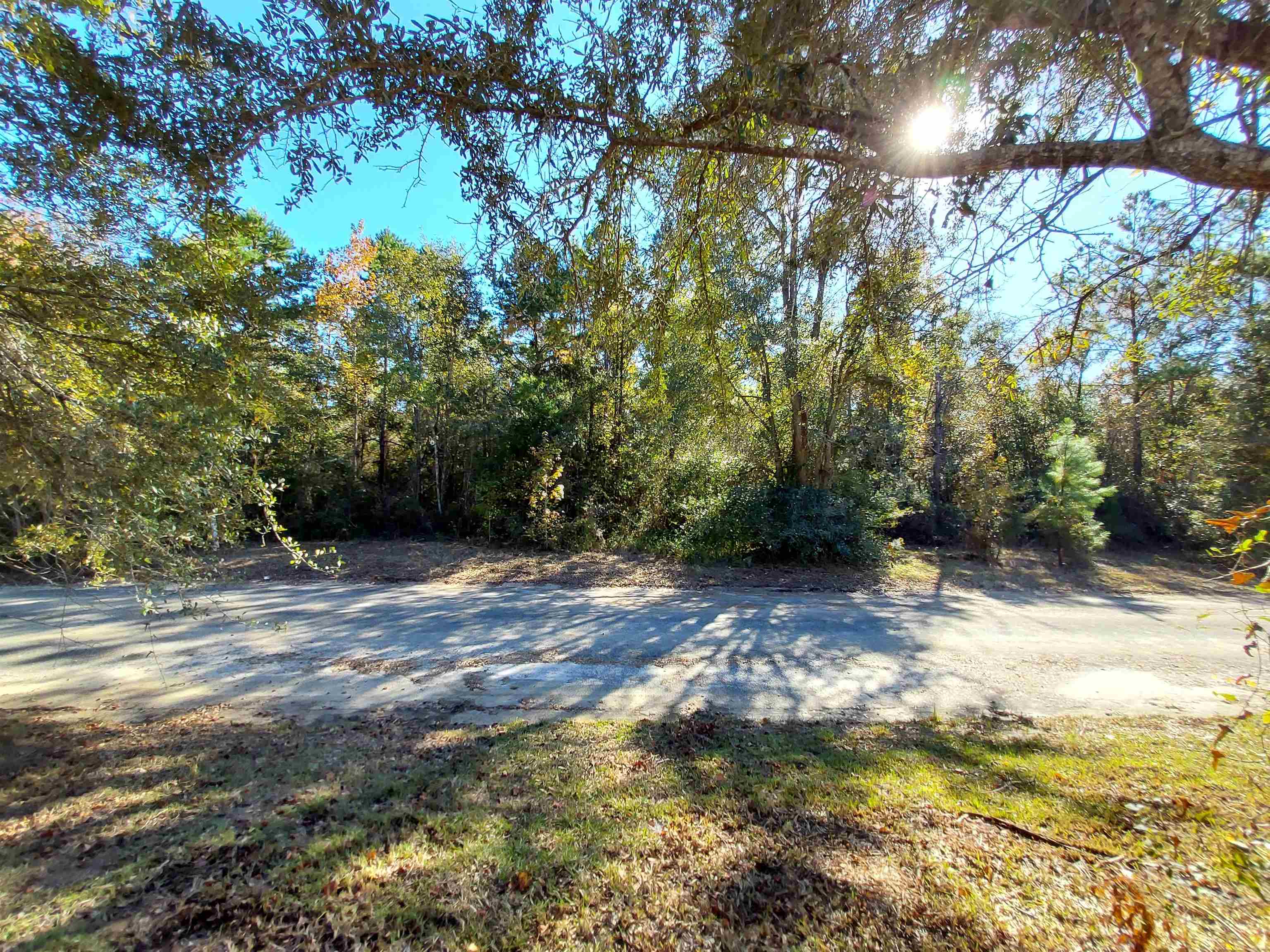 2 Beautiful buildable lots in a newly developing area, less than 3 miles north of the Courthouse.  These 2 lots, totaling over an acre are beautifully woods, back up to a large residential parcel.  These lots are located on a paved, curbed and guttered street.  There will be no drive through traffic on this cul-de-sac street.  This is a perfect place to build your new home along side the other new construction homes.