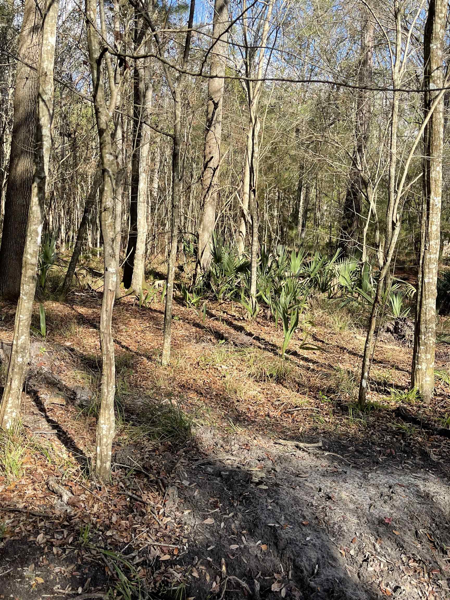 Beautiful vacant lot in private setting. Great spot to park an RV or make your weekend getaway. Peaceful serene views of Lake Talquin makes this your go to destination.