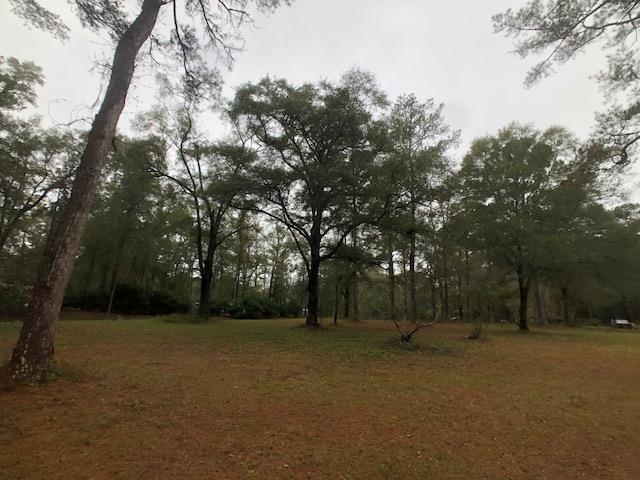Privacy and Seclusion Galore, beautiful magnolia trees, great for horses! 3 acres with a storage shed in Lloyd Acres in Monticello! Vacant land with trees and is heavily wooded!!