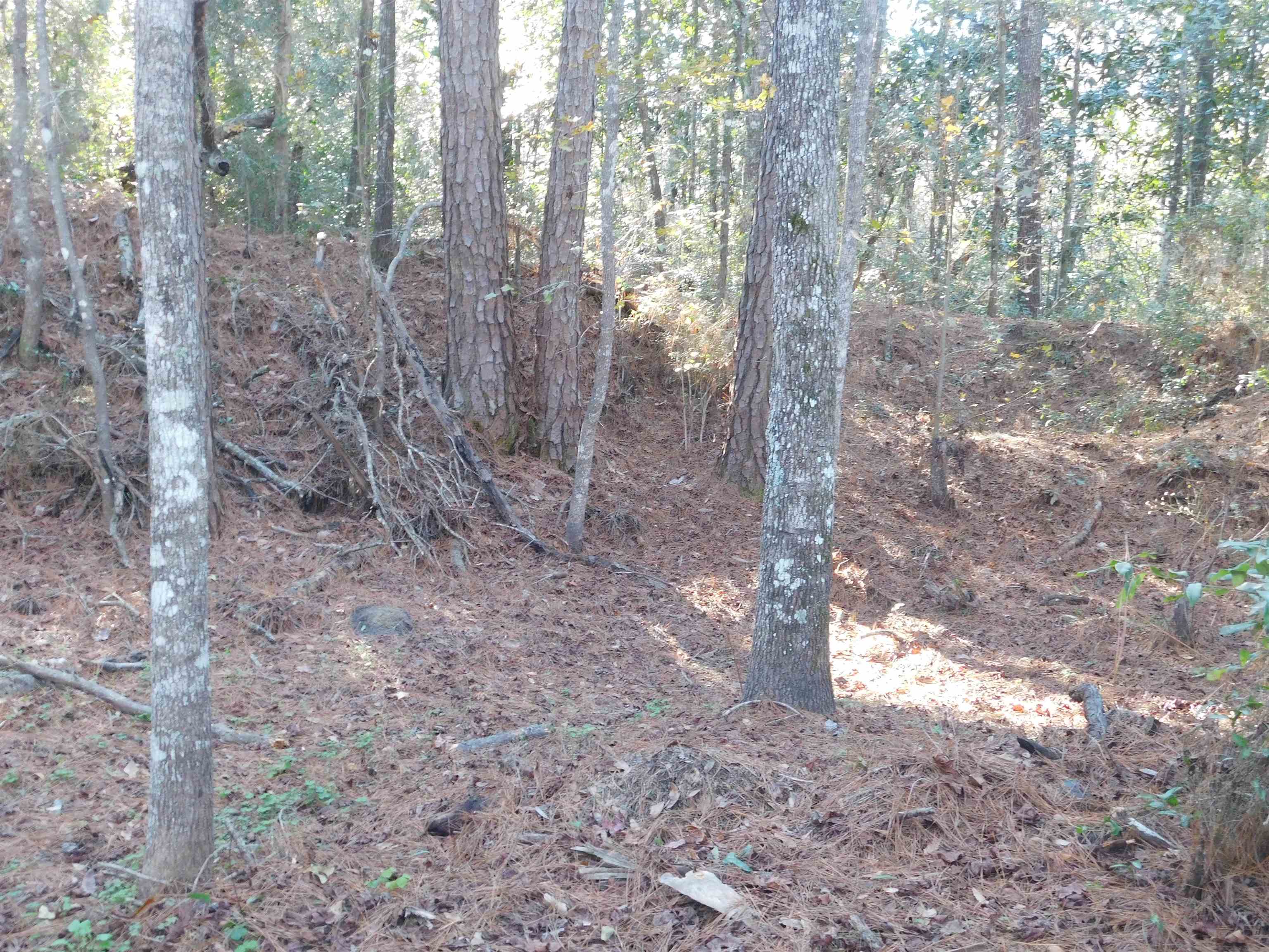Beautiful vacant lot to build your dream home. Across the street from Lake Talquin with amazing views.