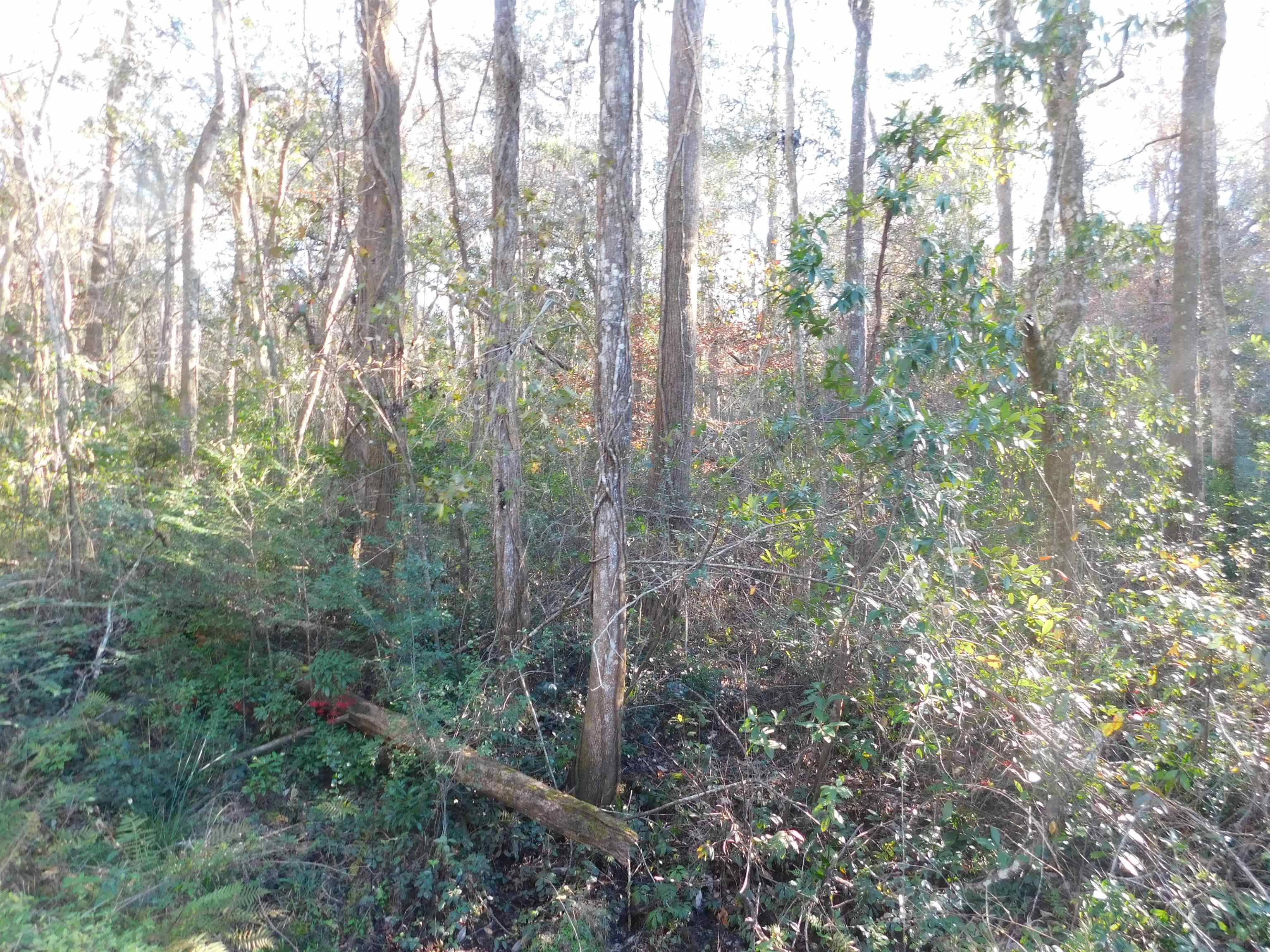 Beautiful vacant lot, perfect for building your dream home. Across the street from Lake Talquin with amazing views.