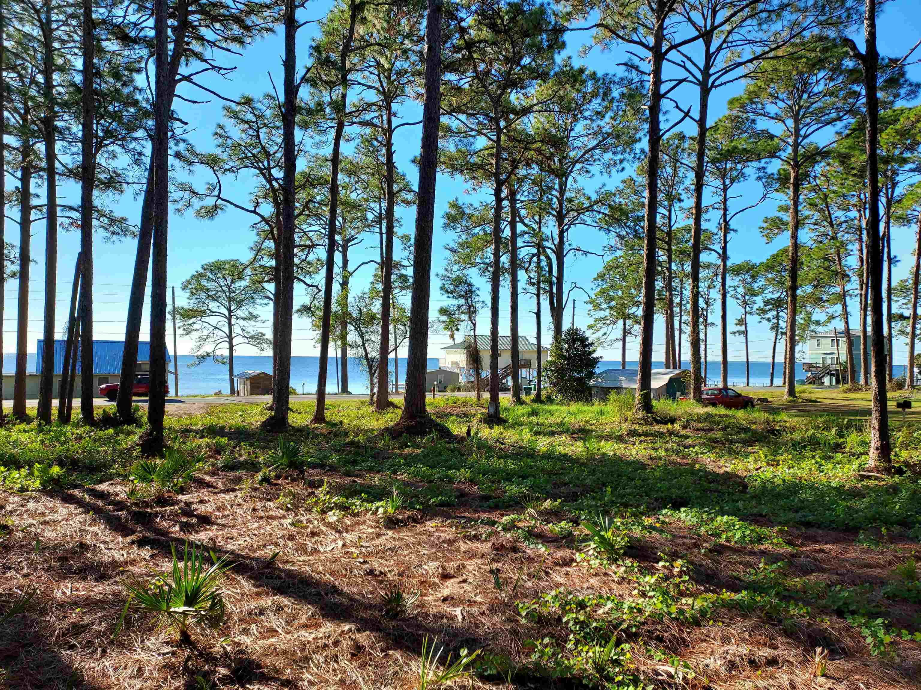 This beautiful high and dry X Flood Zone lot in St James, overlooking the Gulf of Mexico is just right for your Forgotten Coast home.  Over 1/2 acre located in the St James area between Summer Camp Beach and St James Bay Golf Club. This high lot has been forest mulched and a new "state permitted" culvert has been installed. Come build and enjoy your "Forever".