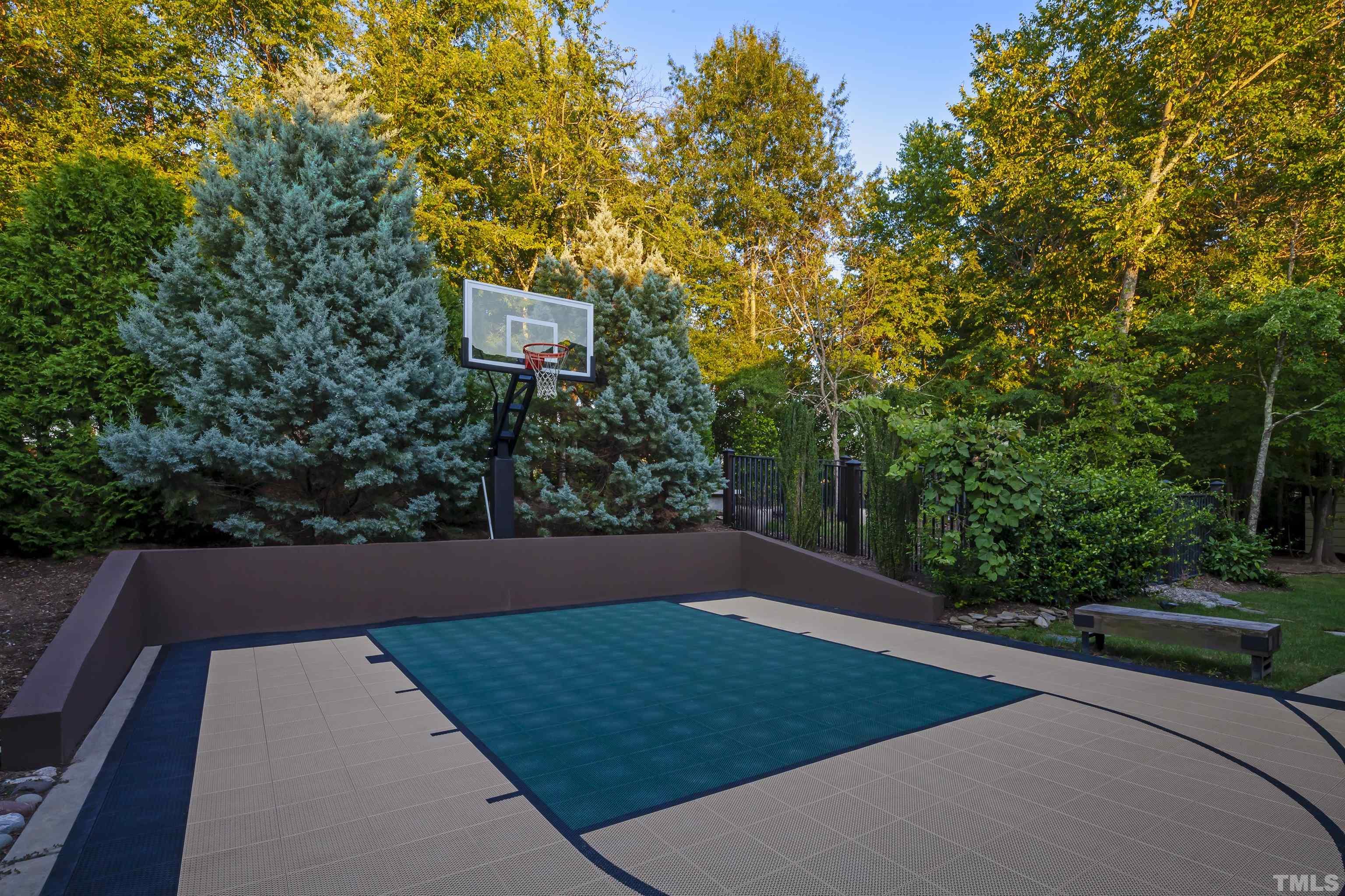 BasketBall Court & Goal
