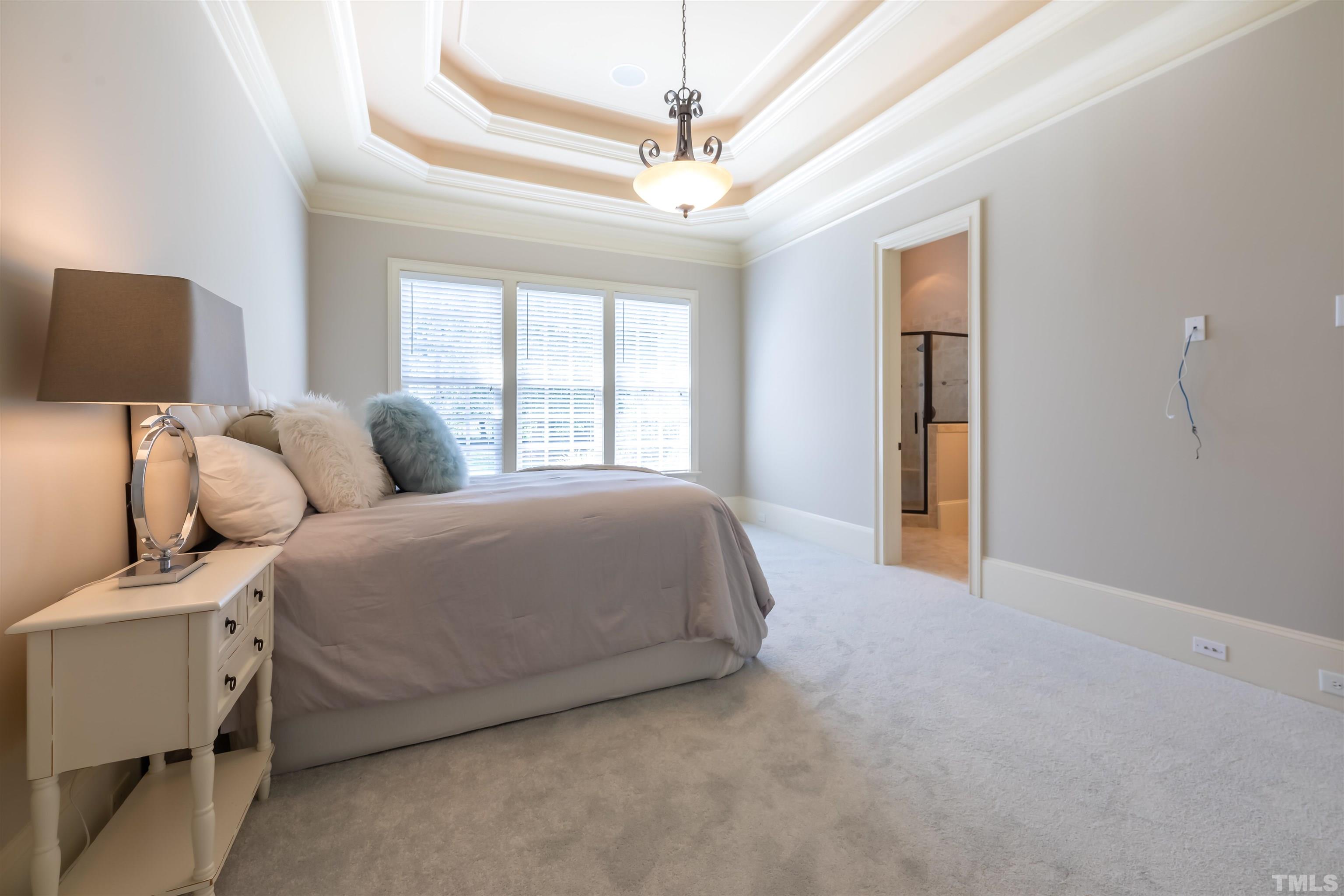 The main floor guest room is quite large and could be a secondary master.  It has its own bath with a walk in shower and closet . Notice the triple tray in this room as well.  The builder did not miss a beat in creating a one of a kind home.  New carpet.