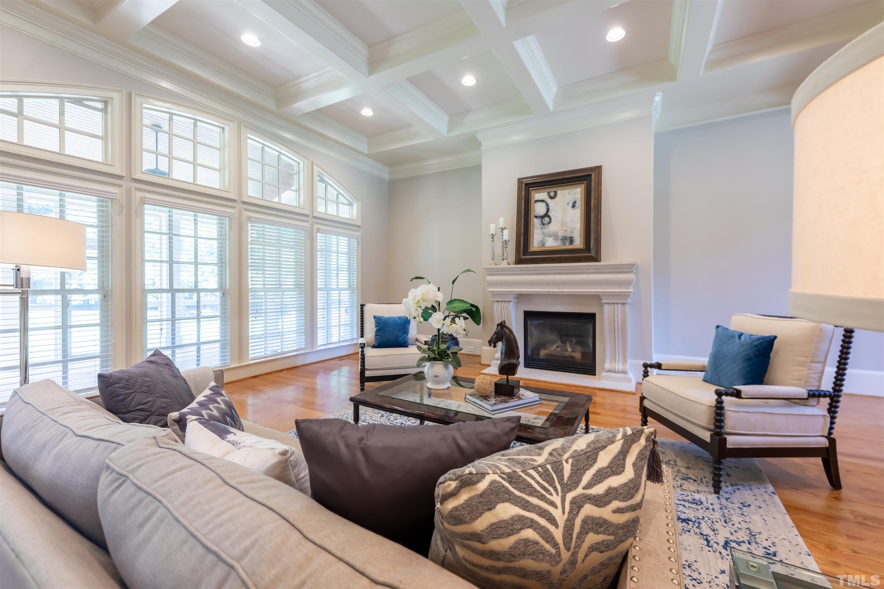 The family room has recessed lighting in the coffered ceiling.  The gas fireplace has an impressive European style surround.