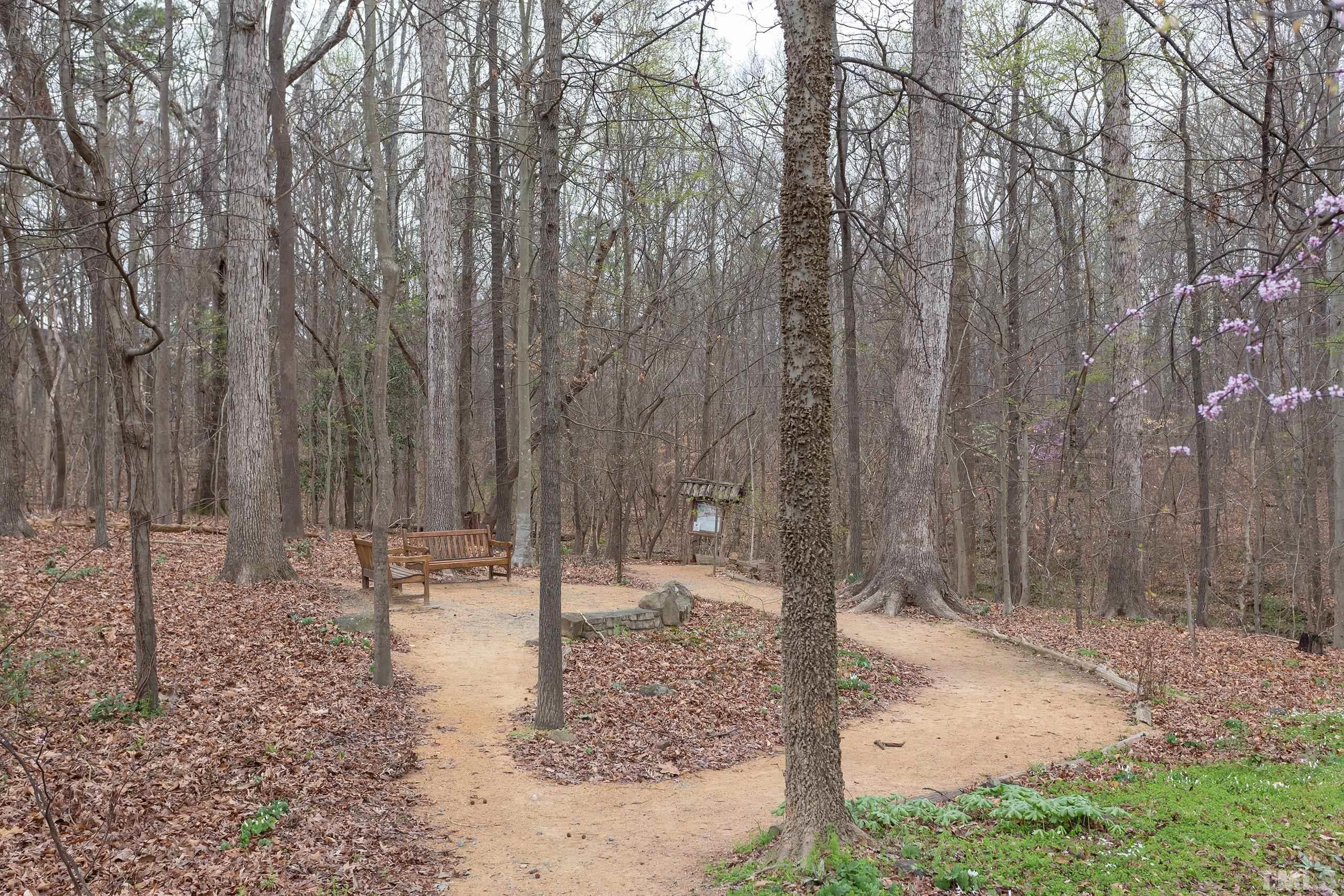 Sisters corner and trails across the street in Battle Park