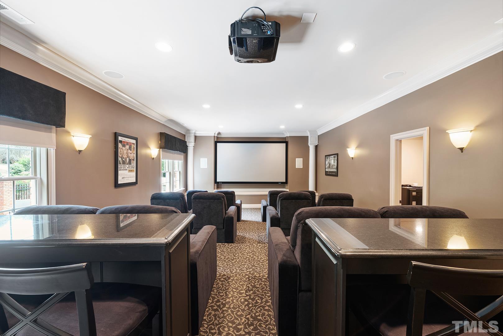 12 Seat Home Theater